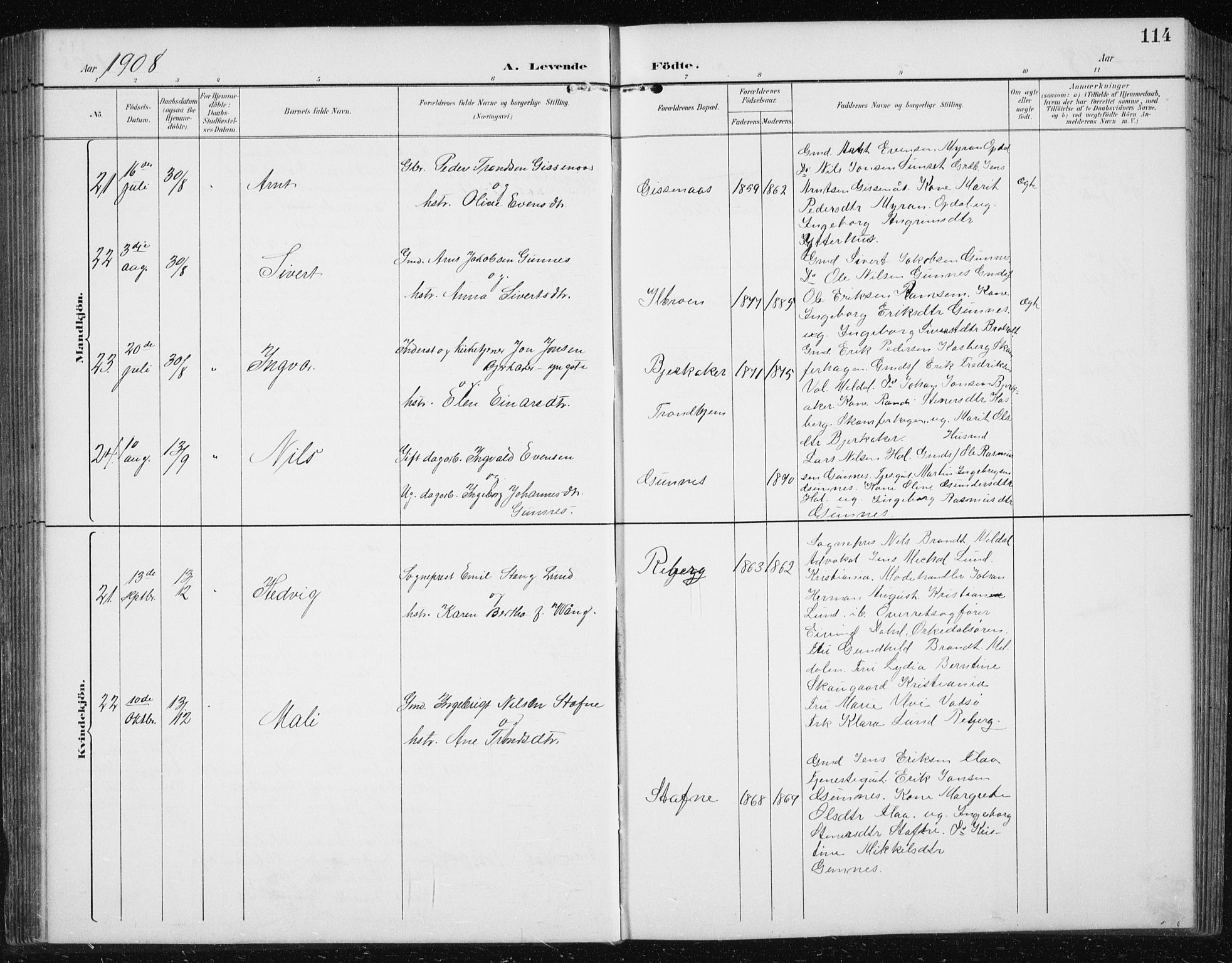 Ministerialprotokoller, klokkerbøker og fødselsregistre - Sør-Trøndelag, AV/SAT-A-1456/674/L0876: Klokkerbok nr. 674C03, 1892-1912, s. 114