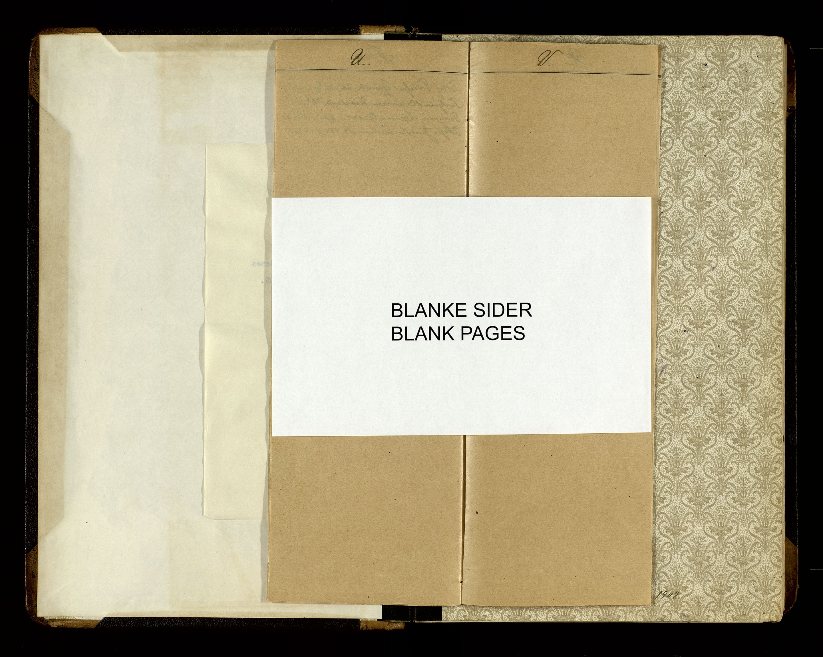 Nedenes sorenskriveri, AV/SAK-1221-0006/F/Fb/L0009: Ekstrarettsprotokoll nr 9, 1902-1905