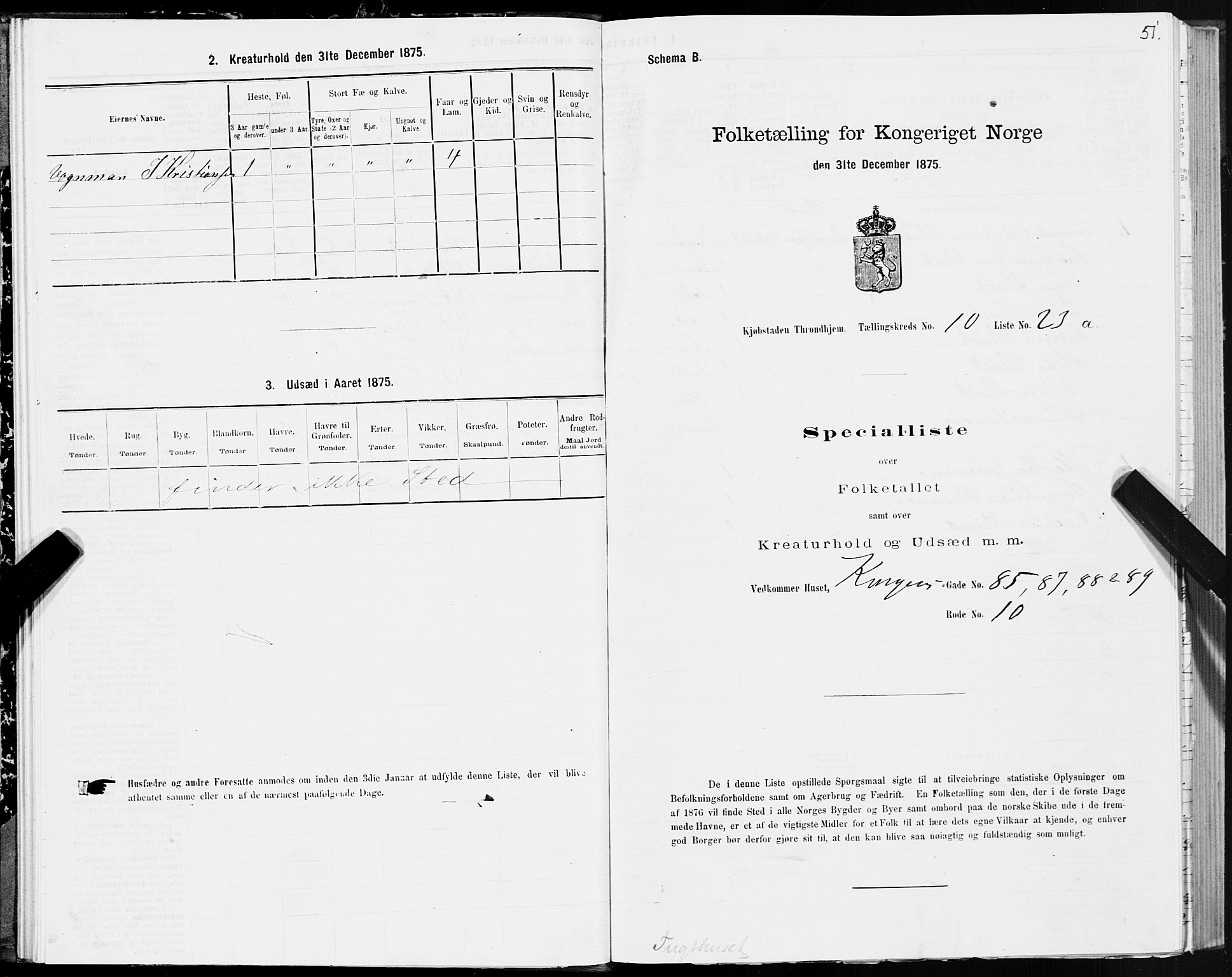 SAT, Folketelling 1875 for 1601 Trondheim kjøpstad, 1875, s. 6051