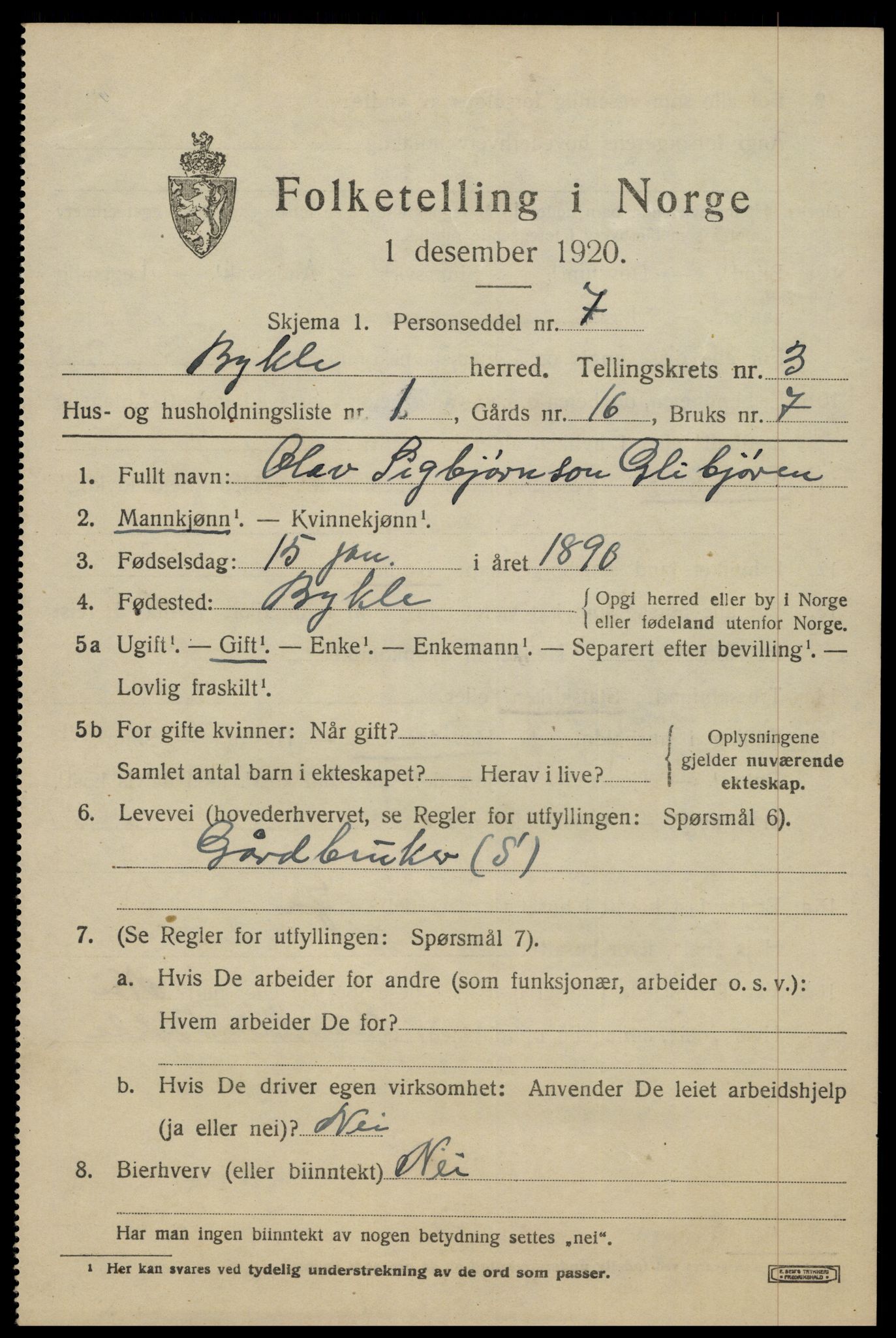 SAK, Folketelling 1920 for 0941 Bykle herred, 1920, s. 1035