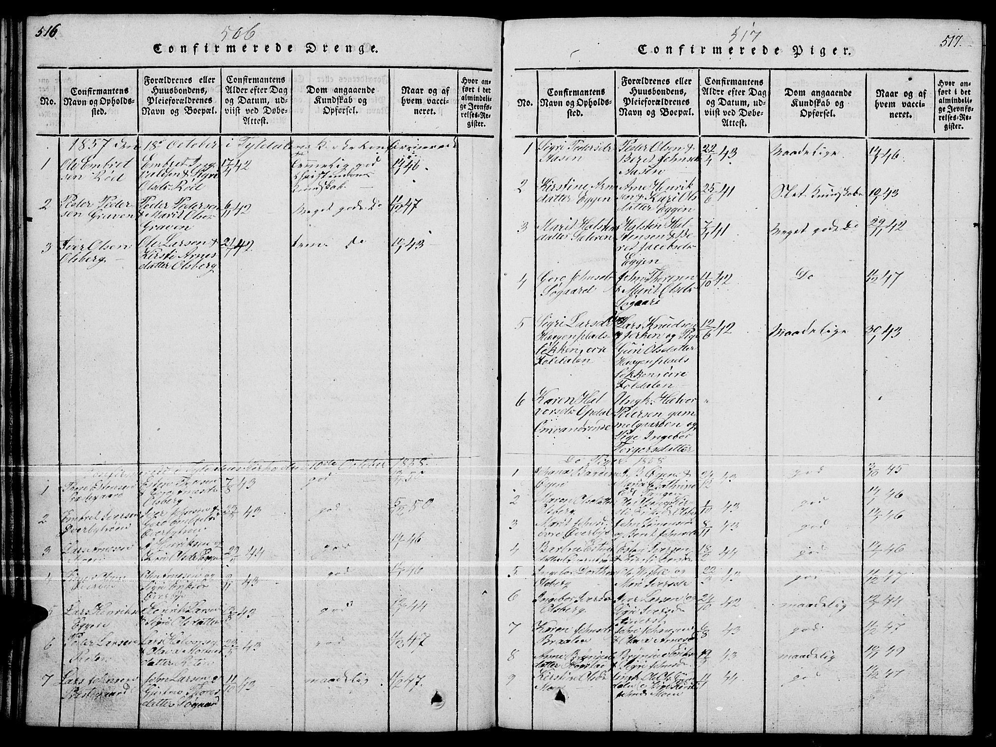 Tynset prestekontor, SAH/PREST-058/H/Ha/Hab/L0004: Klokkerbok nr. 4, 1814-1879, s. 516-517