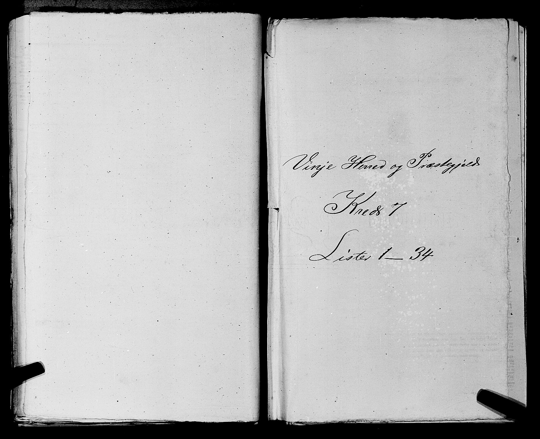 SAKO, Folketelling 1875 for 0834P Vinje prestegjeld, 1875, s. 491
