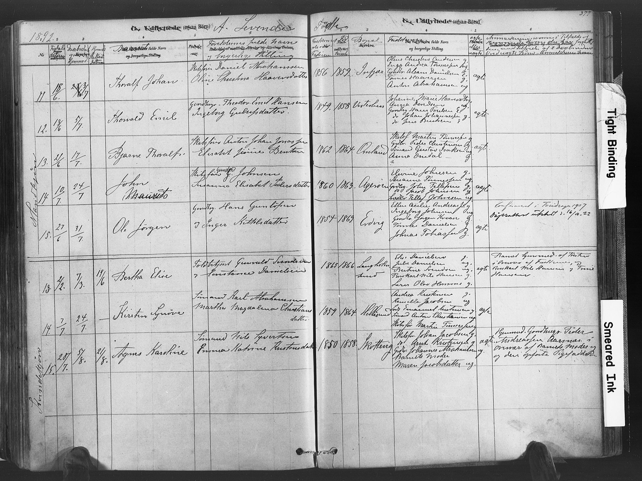 Høvåg sokneprestkontor, AV/SAK-1111-0025/F/Fa/L0005: Ministerialbok nr. A 5, 1878-1893, s. 377