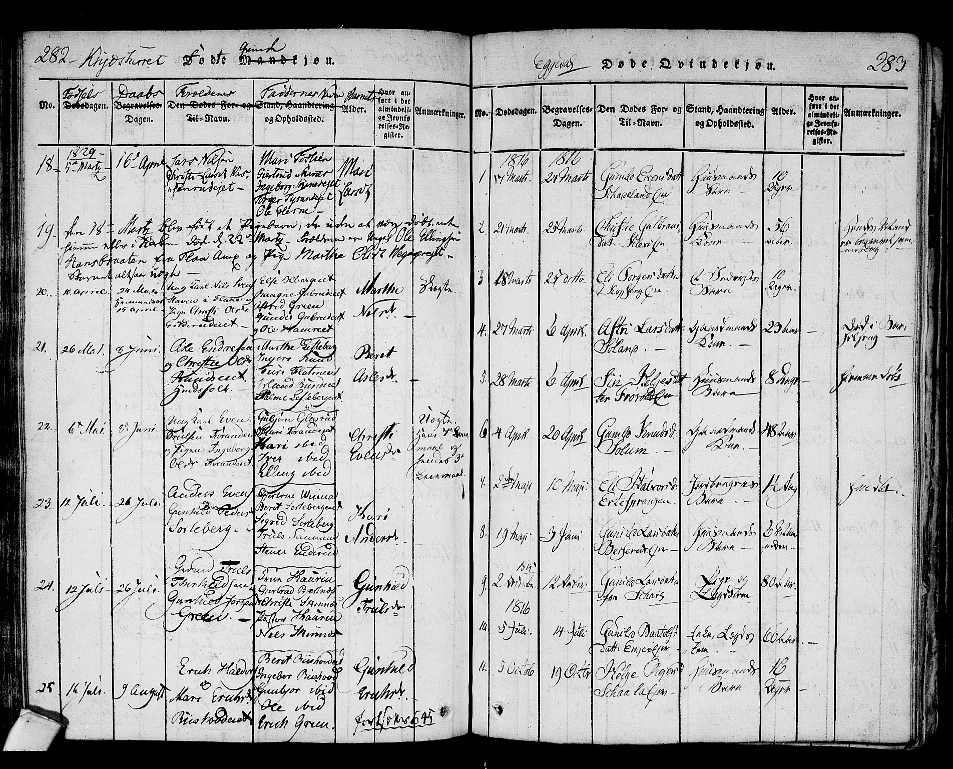 Sigdal kirkebøker, AV/SAKO-A-245/F/Fa/L0005: Ministerialbok nr. I 5 /2, 1815-1829, s. 282-283