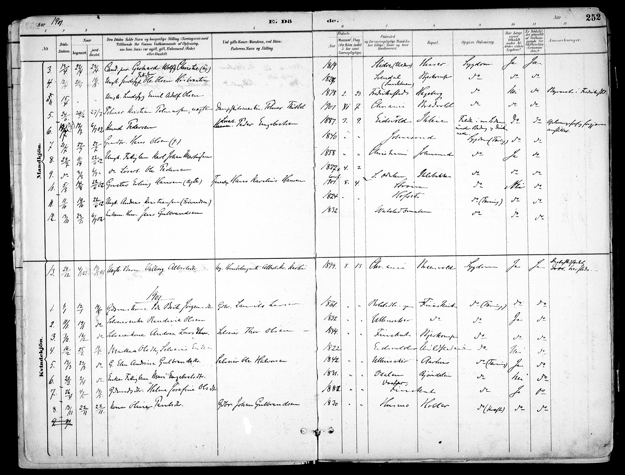Nes prestekontor Kirkebøker, AV/SAO-A-10410/F/Fb/L0002: Ministerialbok nr. II 2, 1883-1918, s. 252