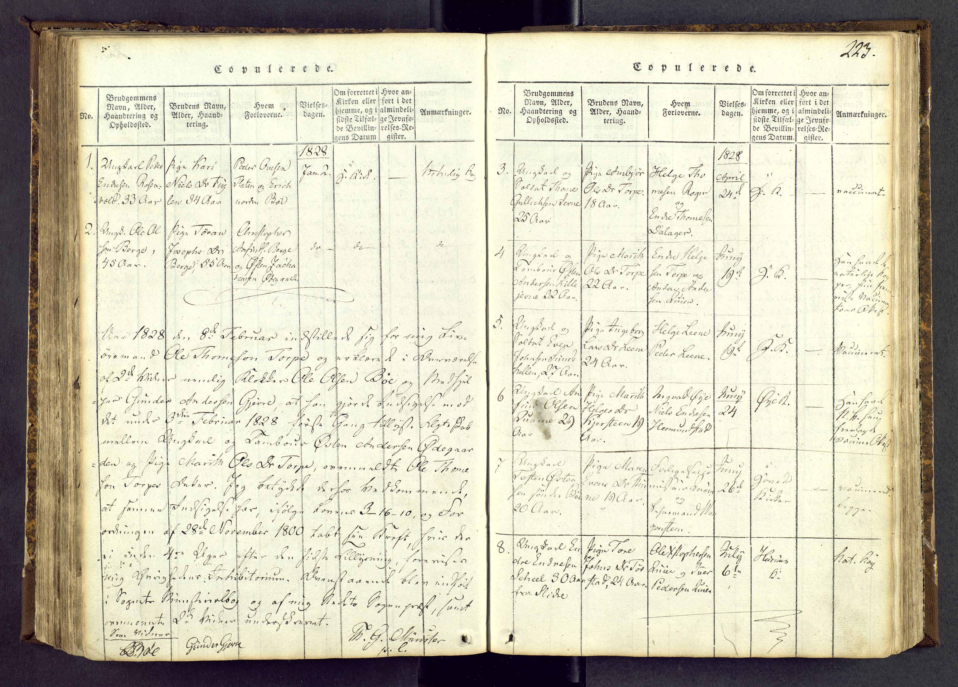 Vang prestekontor, Valdres, AV/SAH-PREST-140/H/Ha/L0004: Ministerialbok nr. 4, 1814-1831, s. 223