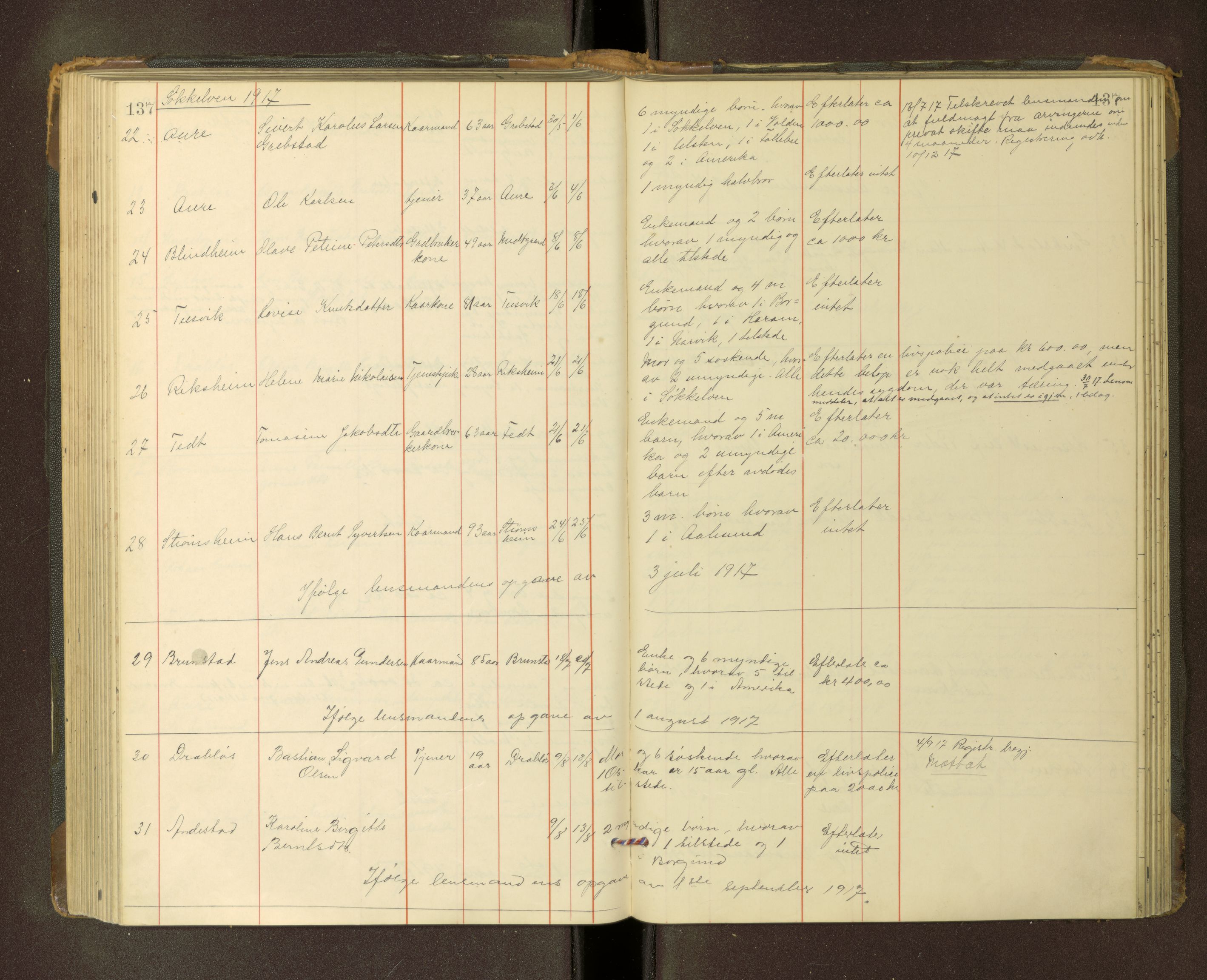 Nordre Sunnmøre sorenskriveri, AV/SAT-A-0006/1/3/3L/L0007: Dødsfallsprotokoll, 1913-1919, s. 137