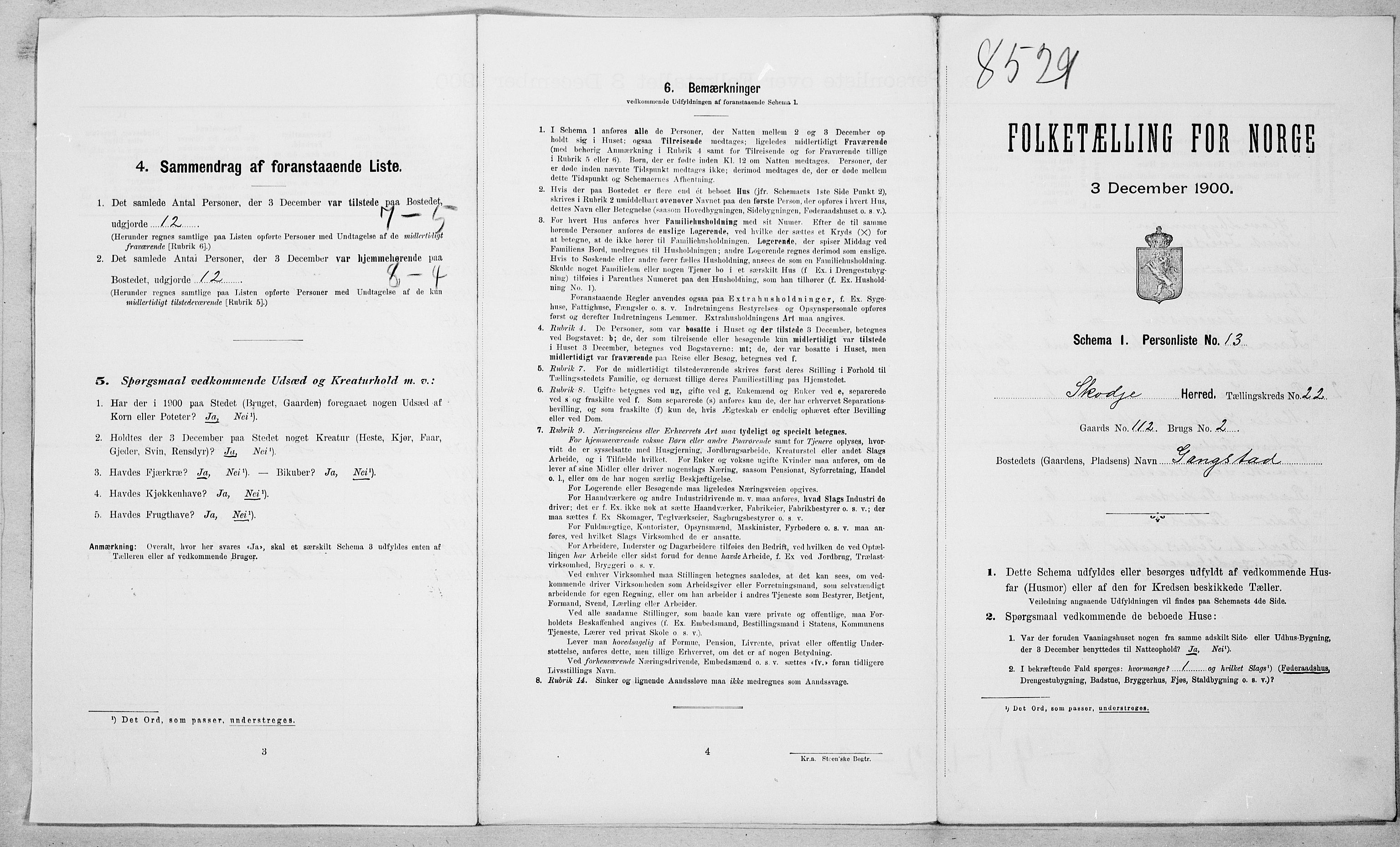 SAT, Folketelling 1900 for 1529 Skodje herred, 1900, s. 1029