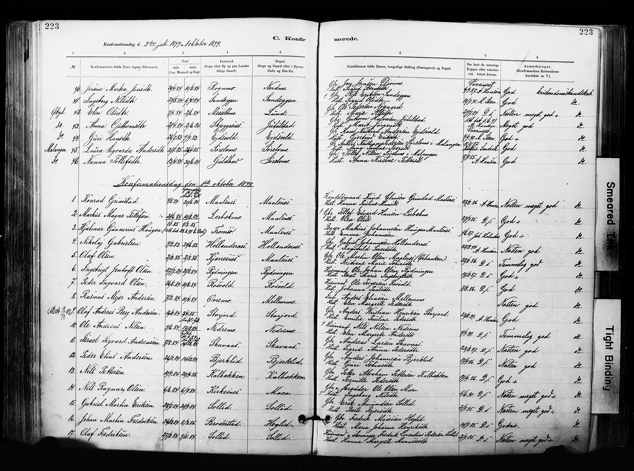 Målselv sokneprestembete, AV/SATØ-S-1311/G/Ga/Gaa/L0007kirke: Ministerialbok nr. 7, 1884-1903, s. 223