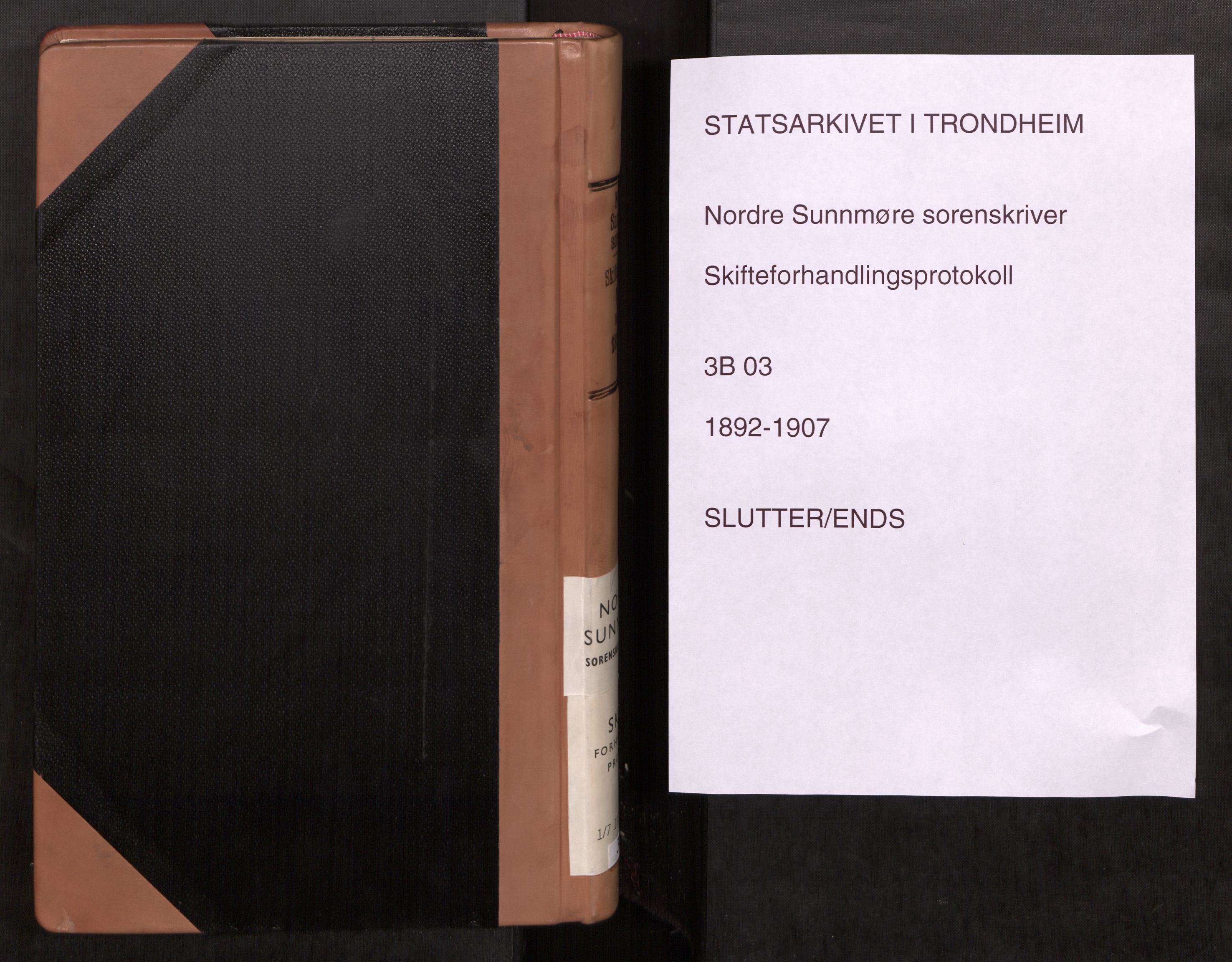 Nordre Sunnmøre sorenskriveri, SAT/A-0006/1/3/3B/L0003: Skiftebehandlingsprotokoll 3, 1892-1907
