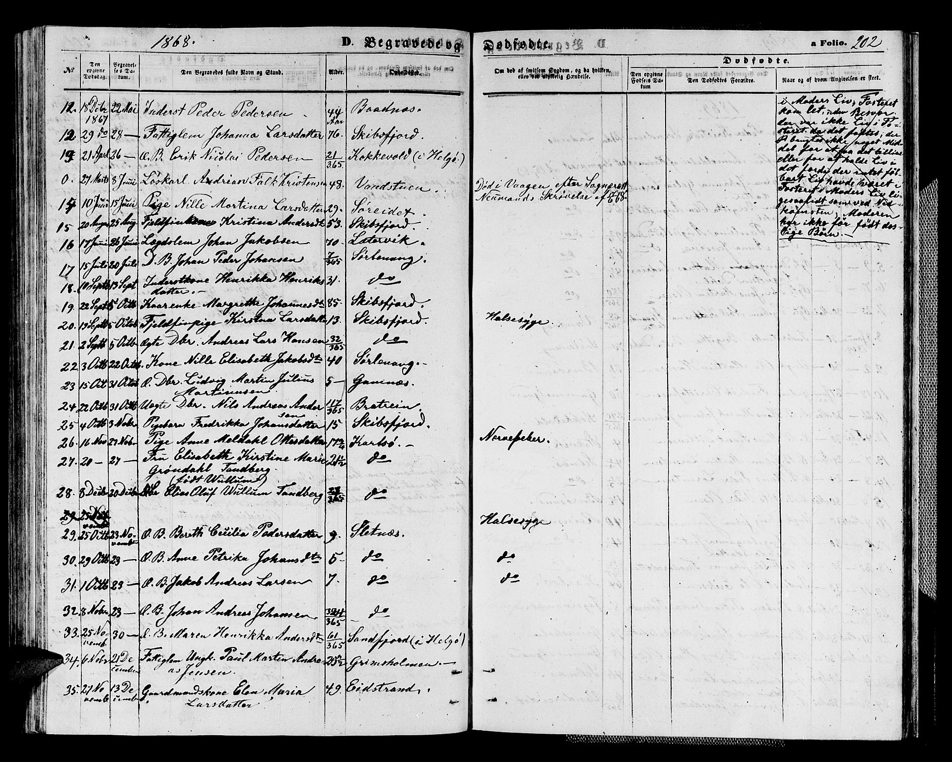 Karlsøy sokneprestembete, AV/SATØ-S-1299/H/Ha/Hab/L0003klokker: Klokkerbok nr. 3, 1862-1877, s. 202