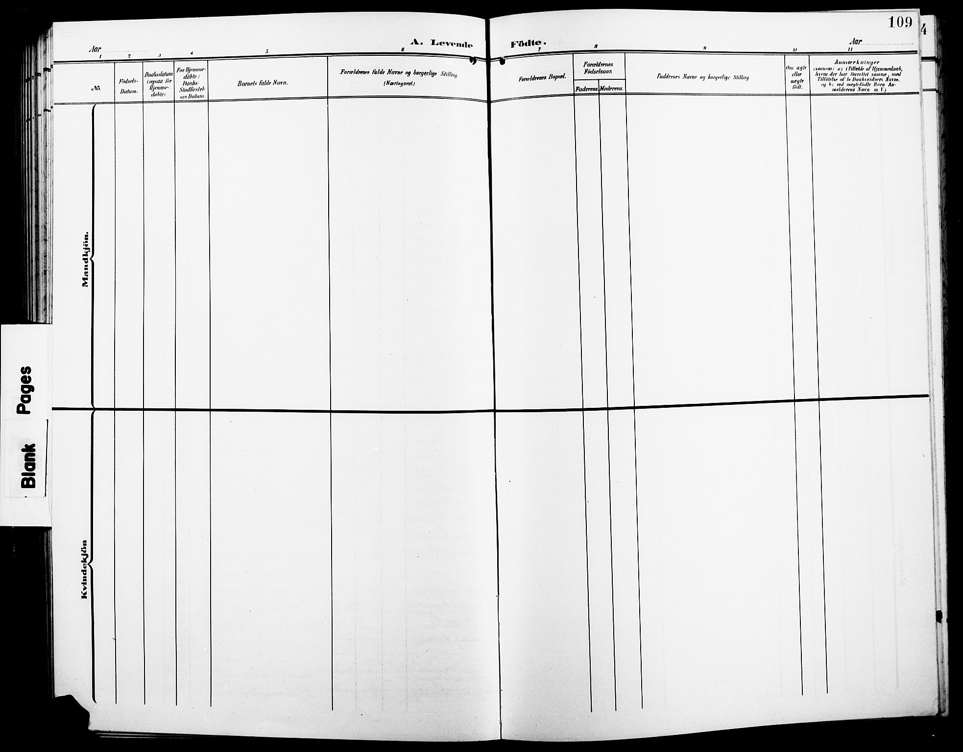 Løten prestekontor, AV/SAH-PREST-022/L/La/L0007: Klokkerbok nr. 7, 1910-1919, s. 109