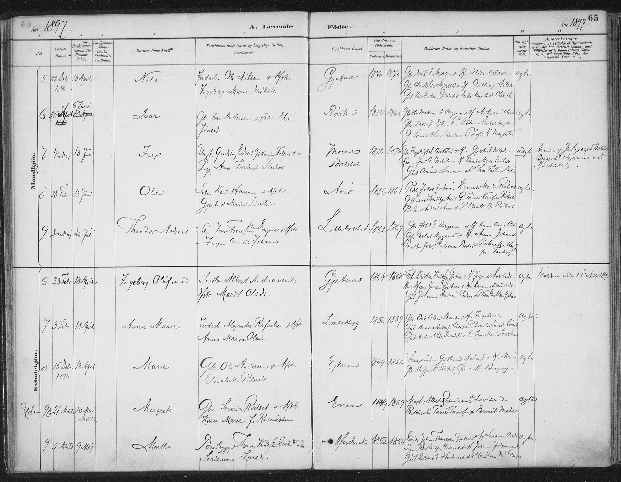 Ministerialprotokoller, klokkerbøker og fødselsregistre - Møre og Romsdal, AV/SAT-A-1454/555/L0658: Ministerialbok nr. 555A09, 1887-1917, s. 65