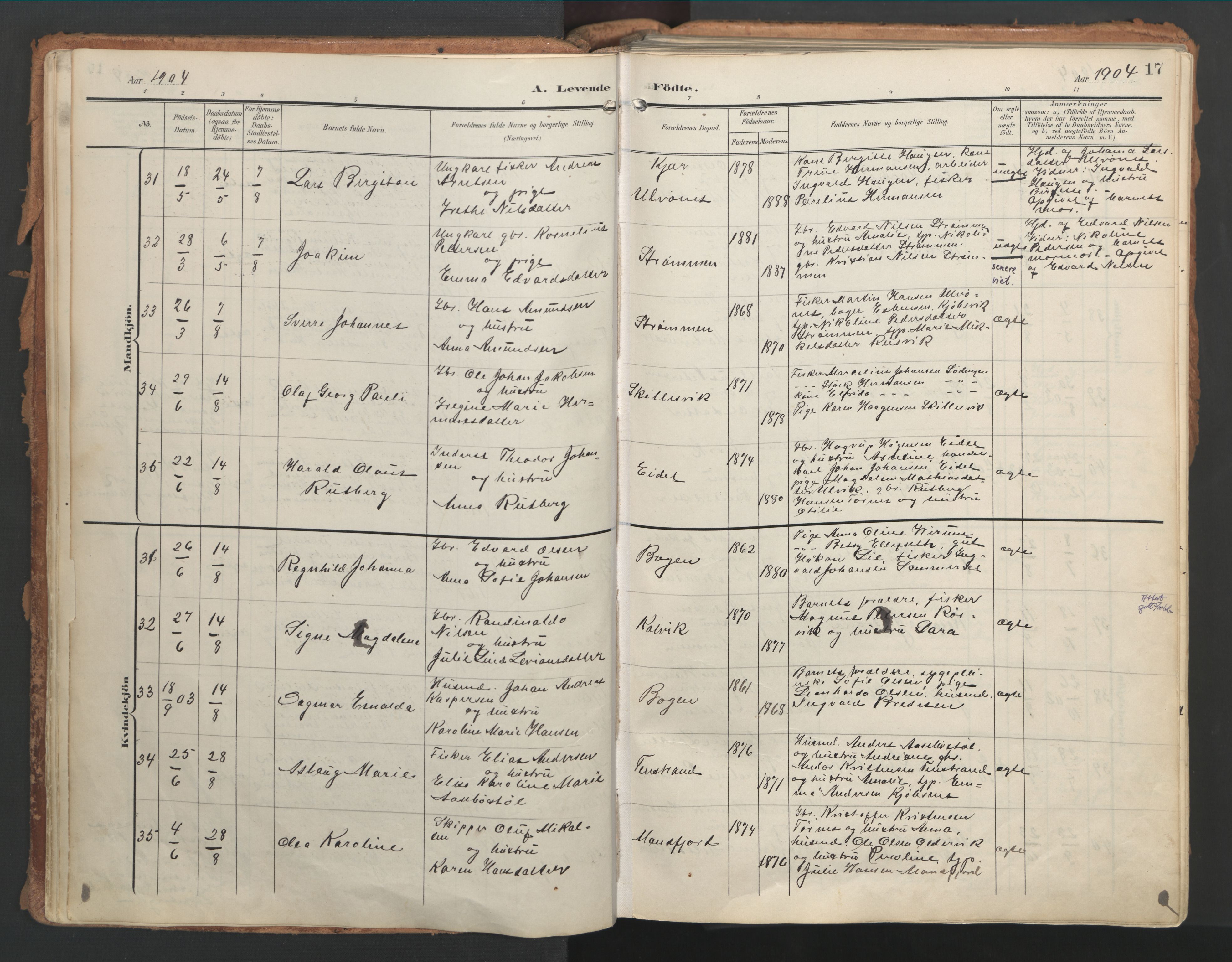 Ministerialprotokoller, klokkerbøker og fødselsregistre - Nordland, AV/SAT-A-1459/861/L0871: Ministerialbok nr. 861A06, 1903-1916, s. 17