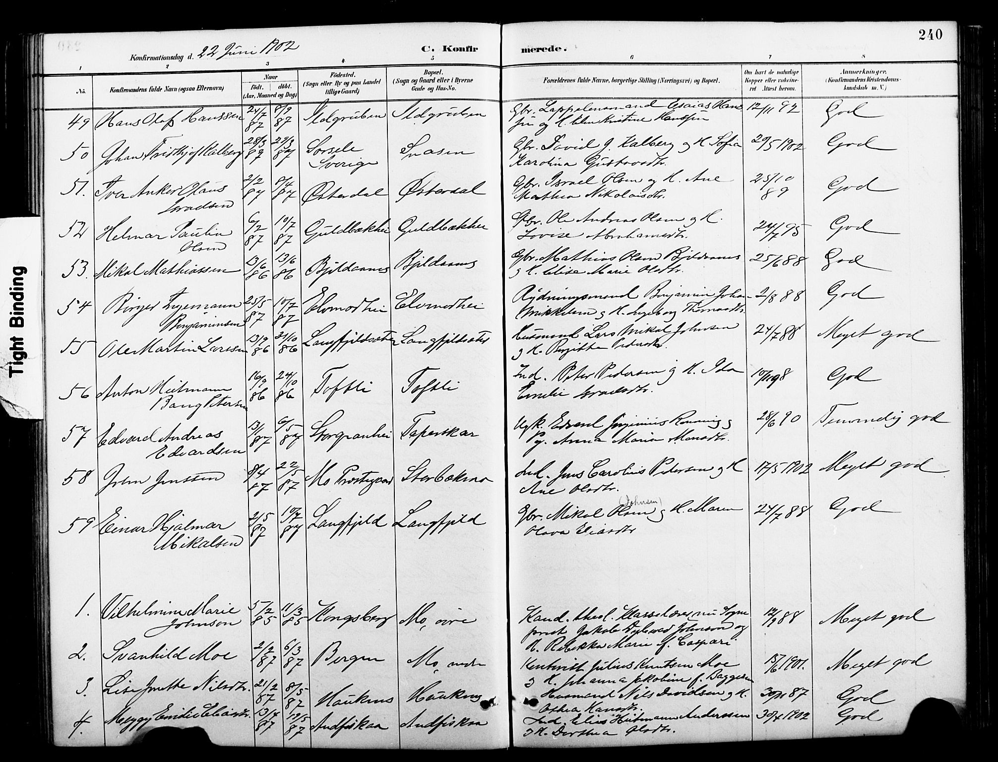 Ministerialprotokoller, klokkerbøker og fødselsregistre - Nordland, AV/SAT-A-1459/827/L0421: Klokkerbok nr. 827C10, 1887-1906, s. 240
