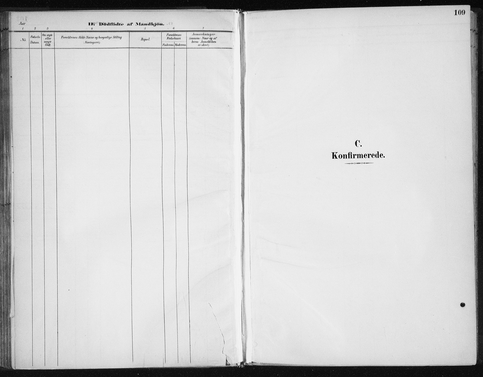 Ministerialprotokoller, klokkerbøker og fødselsregistre - Nord-Trøndelag, SAT/A-1458/701/L0010: Ministerialbok nr. 701A10, 1883-1899, s. 109