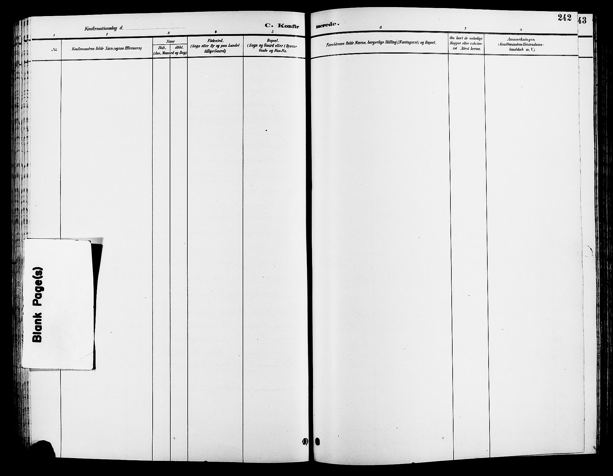 Løten prestekontor, SAH/PREST-022/L/La/L0006: Klokkerbok nr. 6, 1892-1909, s. 242