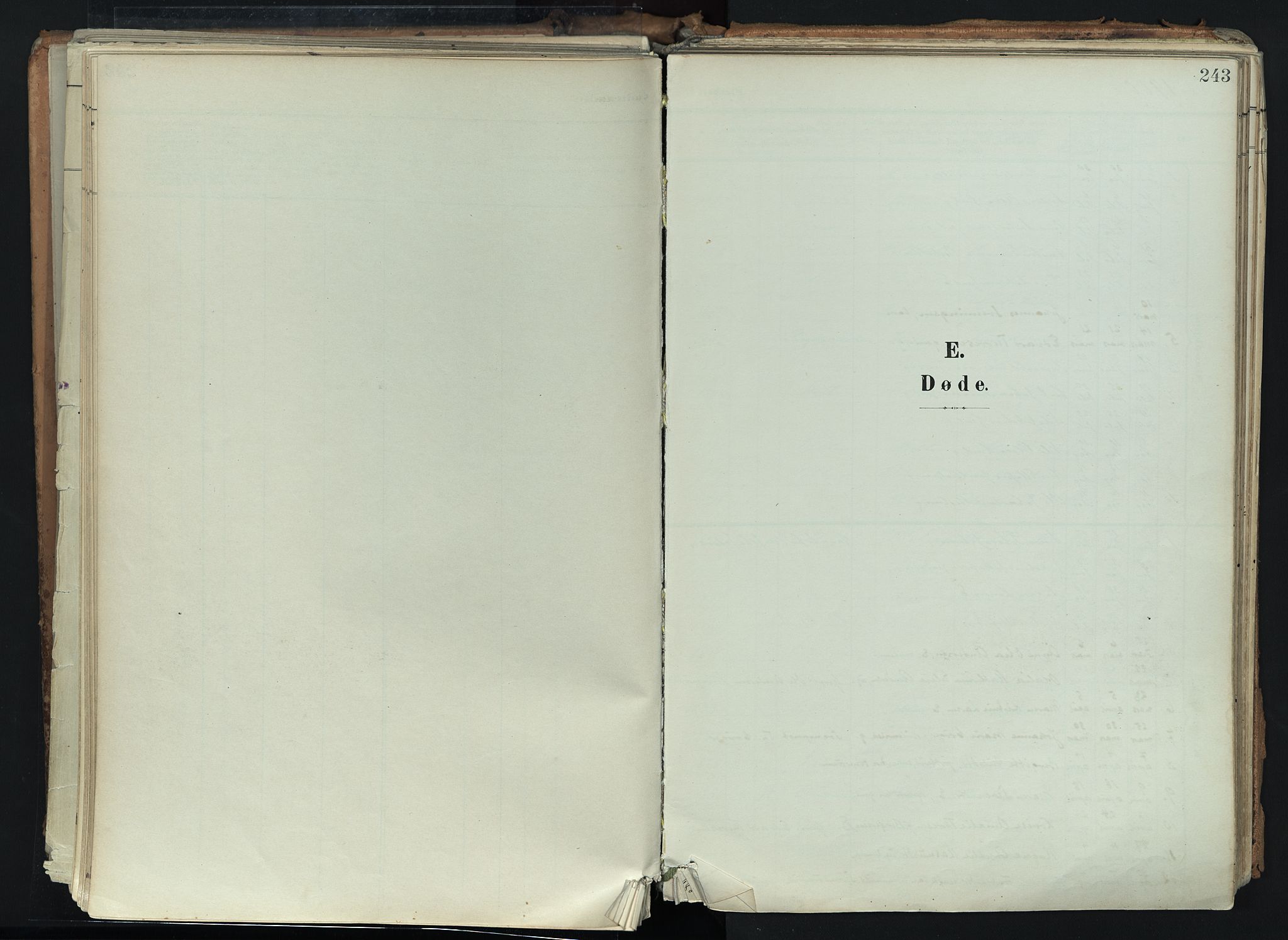 Brunlanes kirkebøker, SAKO/A-342/F/Fc/L0003: Ministerialbok nr. III 3, 1900-1922, s. 243