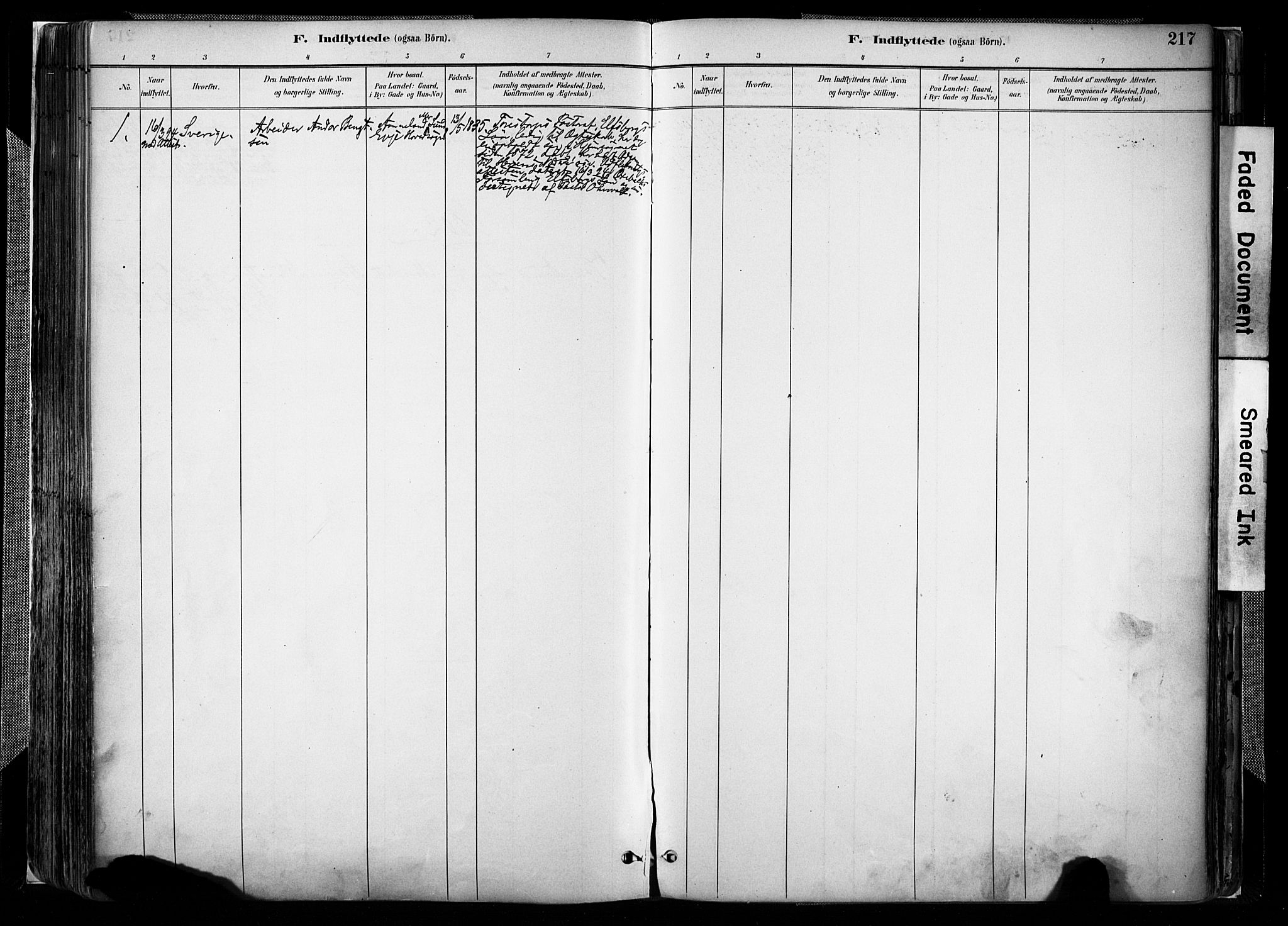 Evje sokneprestkontor, AV/SAK-1111-0008/F/Fa/Faa/L0007: Ministerialbok nr. A 7, 1884-1909, s. 217