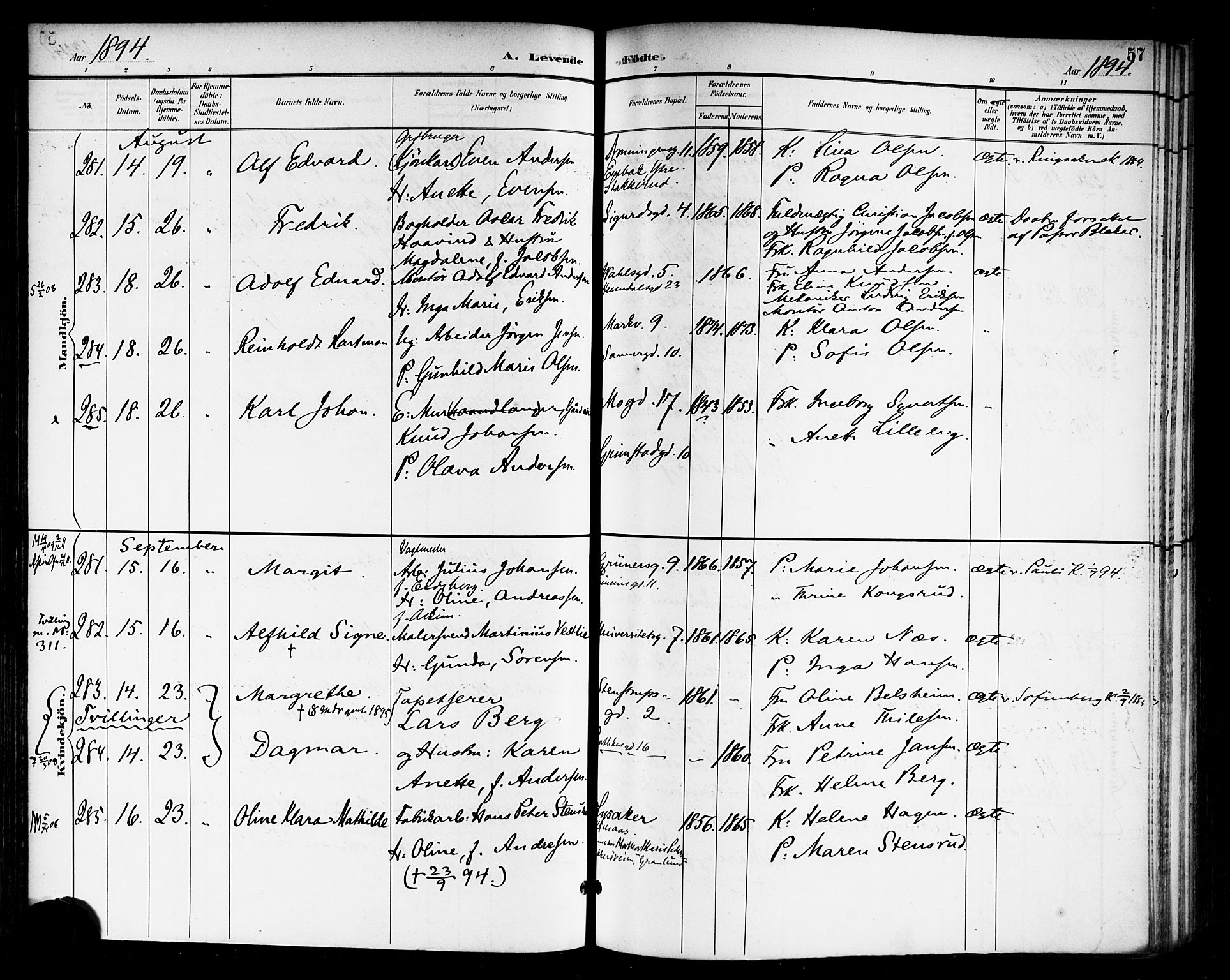 Rikshospitalet prestekontor Kirkebøker, AV/SAO-A-10309b/F/L0009: Ministerialbok nr. 9, 1894-1897, s. 57