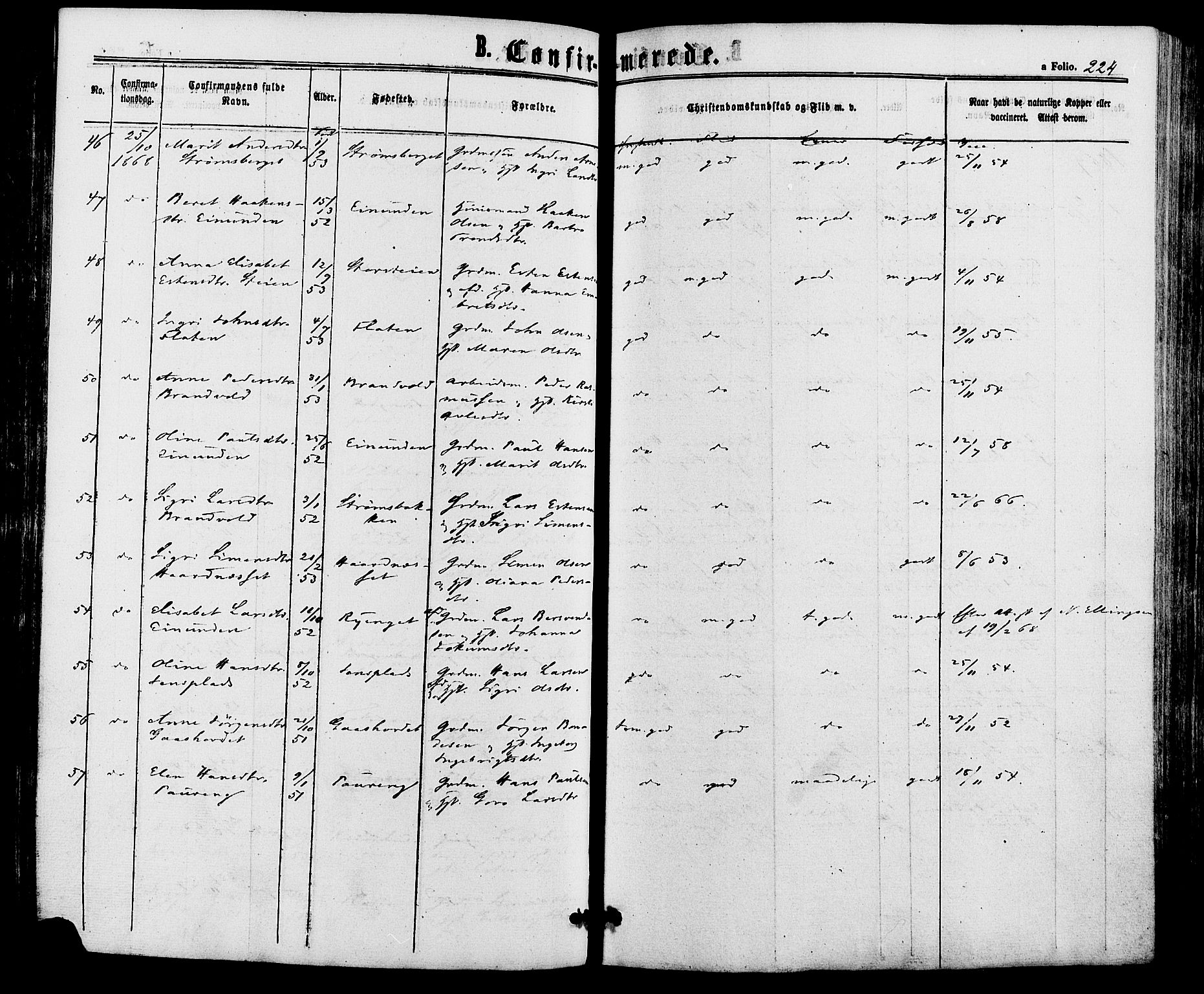 Alvdal prestekontor, AV/SAH-PREST-060/H/Ha/Haa/L0001: Ministerialbok nr. 1, 1863-1882, s. 224