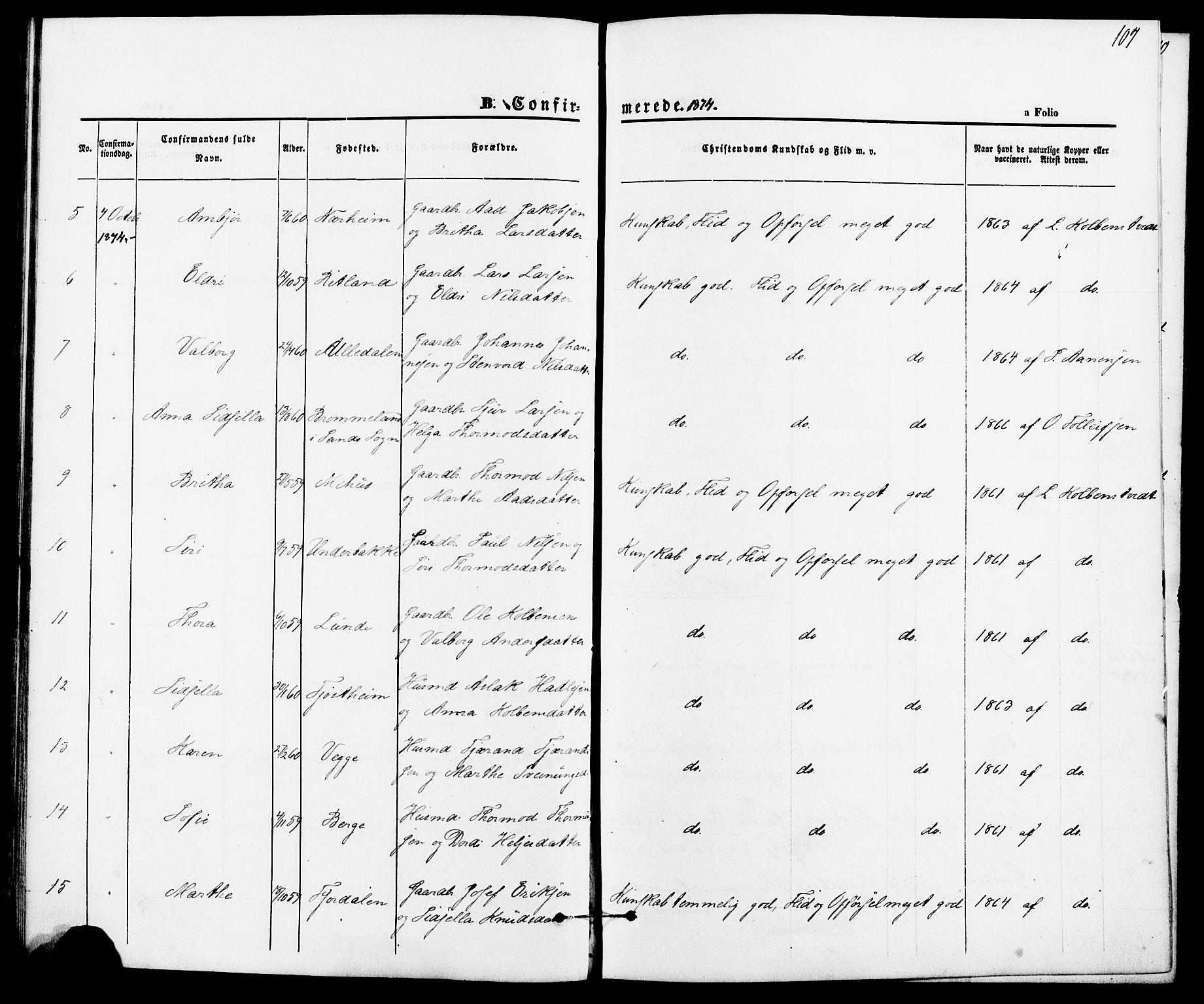 Suldal sokneprestkontor, AV/SAST-A-101845/01/IV/L0010: Ministerialbok nr. A 10, 1869-1878, s. 107