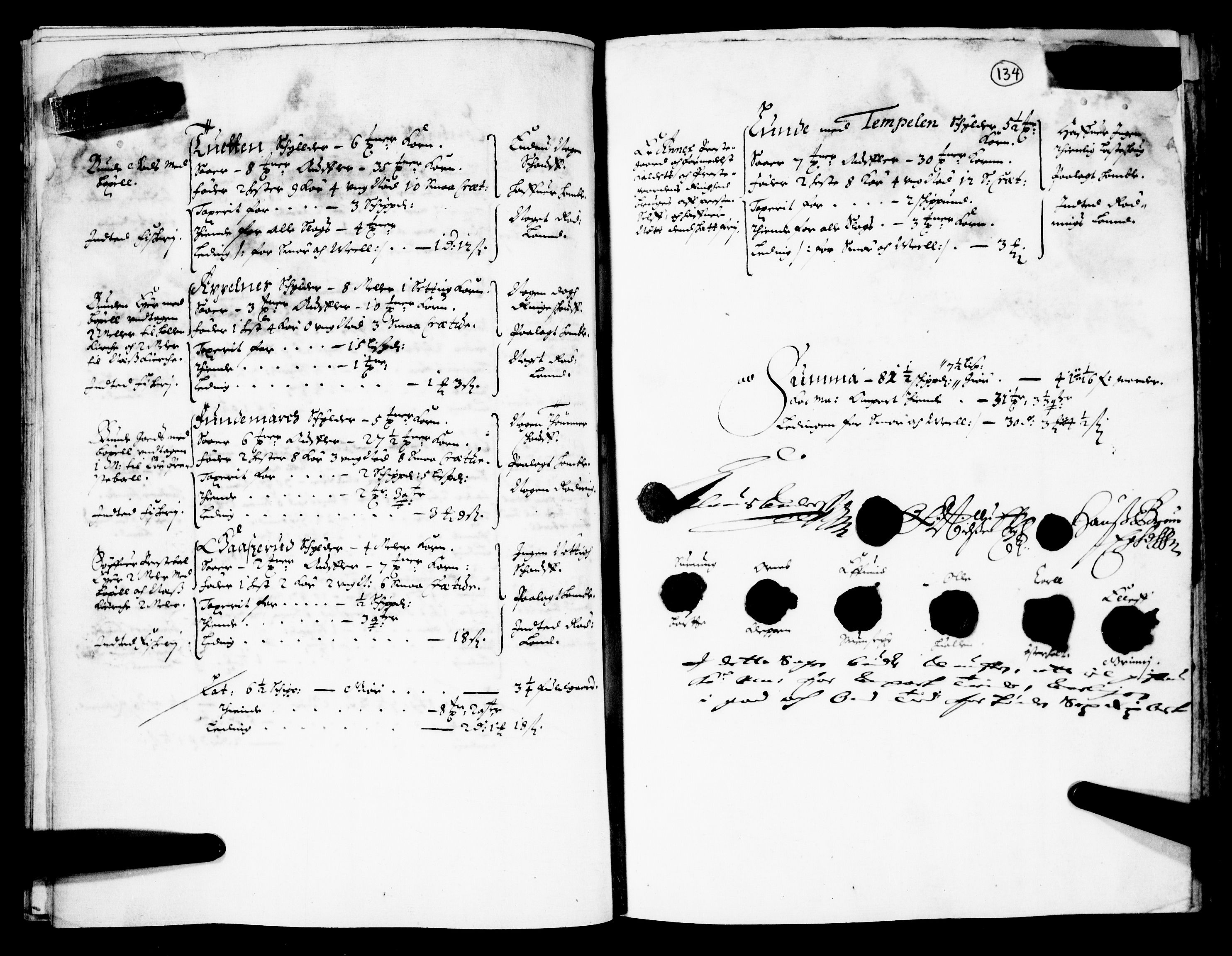 Rentekammeret inntil 1814, Realistisk ordnet avdeling, AV/RA-EA-4070/N/Nb/Nba/L0026: Nedre og Øvre Telemark fogderi, 1667, s. 133b-134a