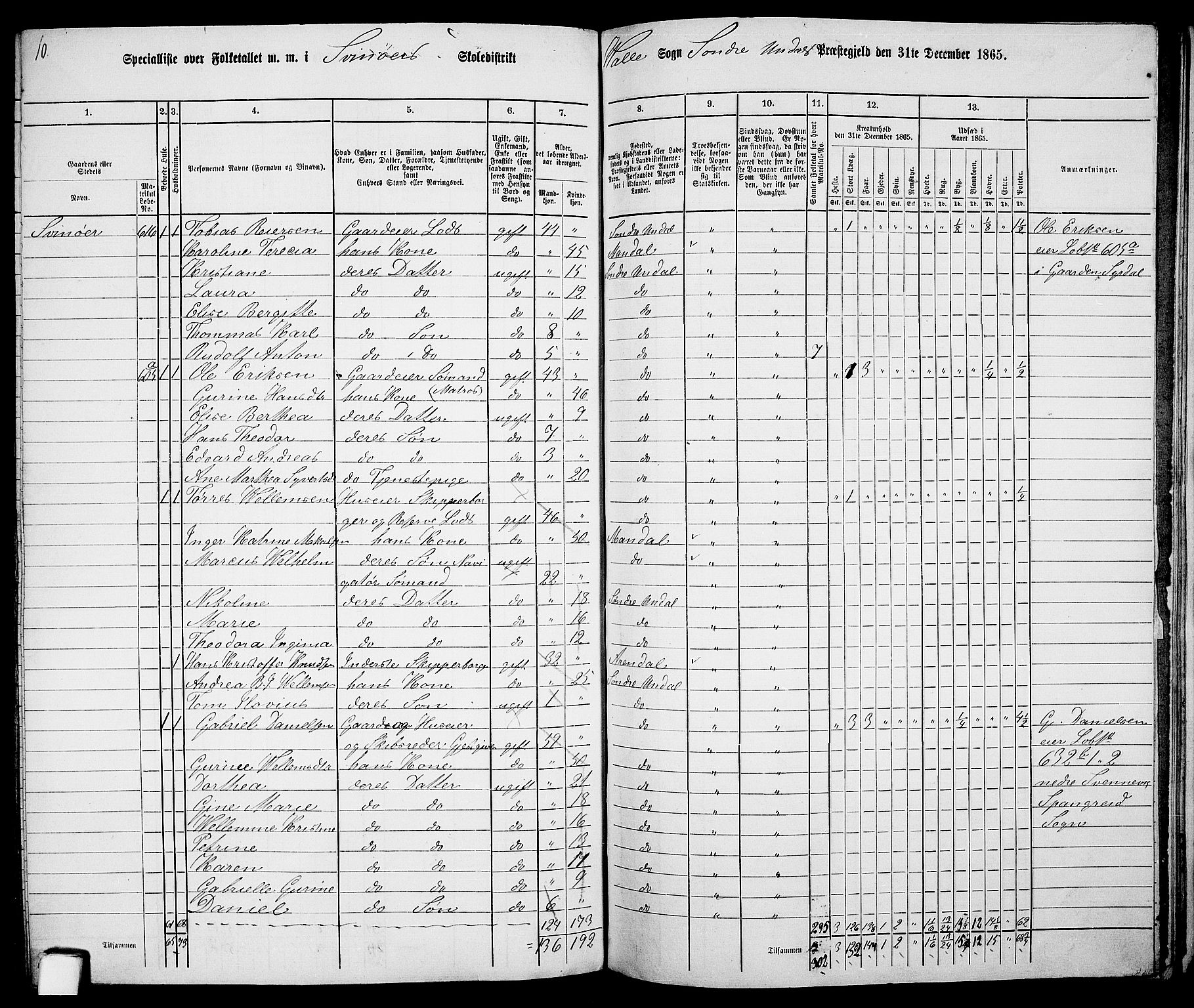 RA, Folketelling 1865 for 1029P Sør-Audnedal prestegjeld, 1865, s. 135