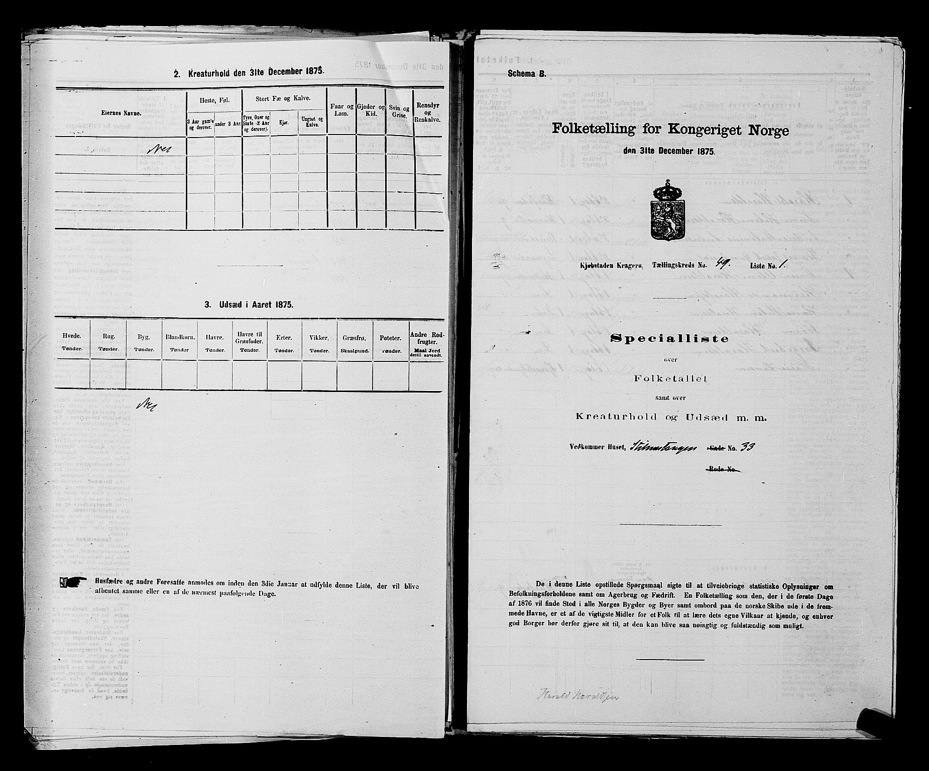 SAKO, Folketelling 1875 for 0801P Kragerø prestegjeld, 1875, s. 1079