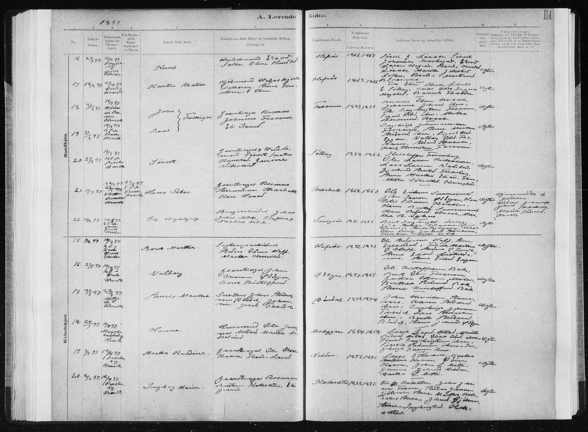 Ministerialprotokoller, klokkerbøker og fødselsregistre - Sør-Trøndelag, AV/SAT-A-1456/668/L0818: Klokkerbok nr. 668C07, 1885-1898, s. 114