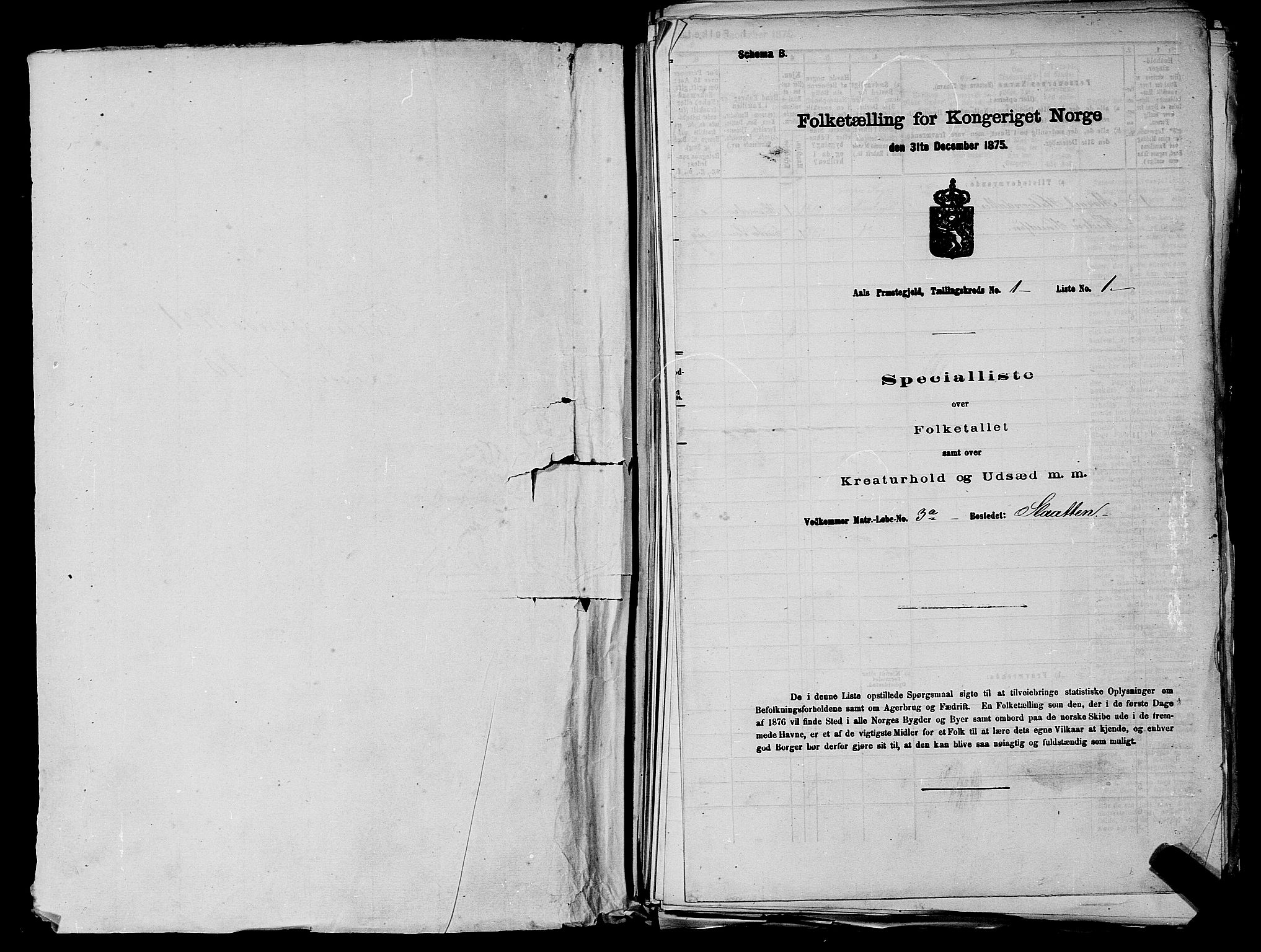 SAKO, Folketelling 1875 for 0619P Ål prestegjeld, 1875, s. 20