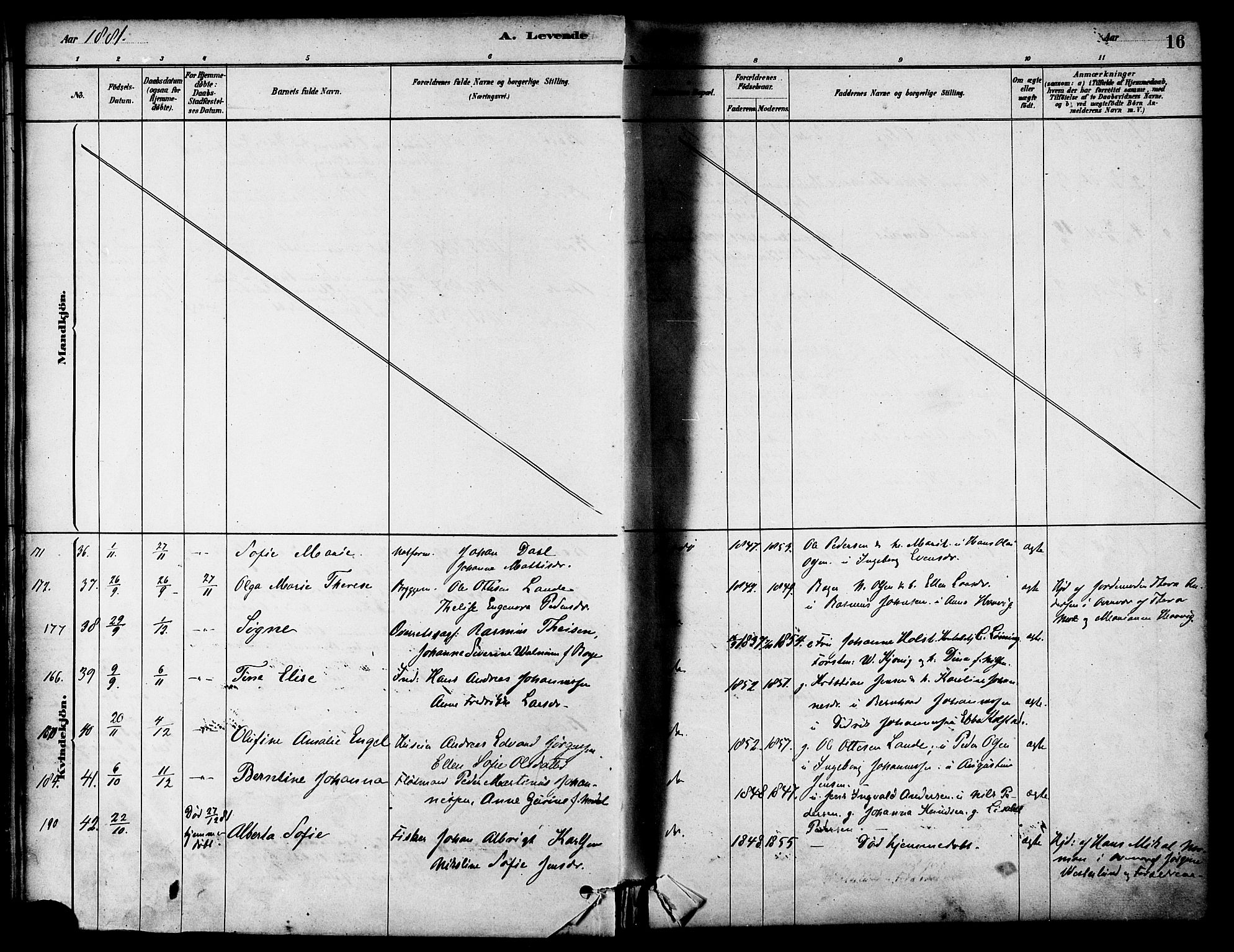 Ministerialprotokoller, klokkerbøker og fødselsregistre - Nordland, SAT/A-1459/801/L0030: Klokkerbok nr. 801C05, 1879-1887, s. 16