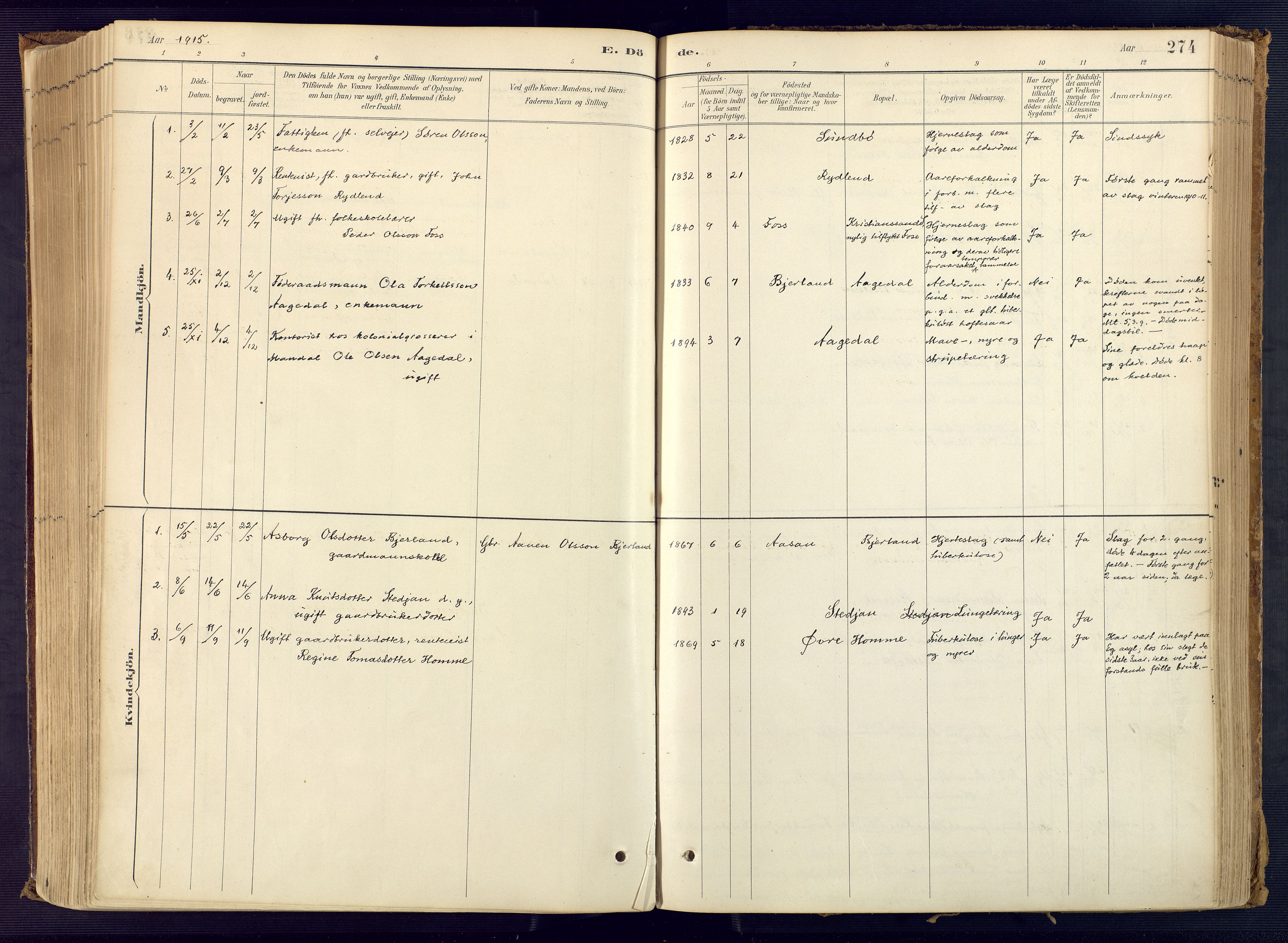 Bjelland sokneprestkontor, SAK/1111-0005/F/Fa/Faa/L0004: Ministerialbok nr. A 4, 1887-1923, s. 274