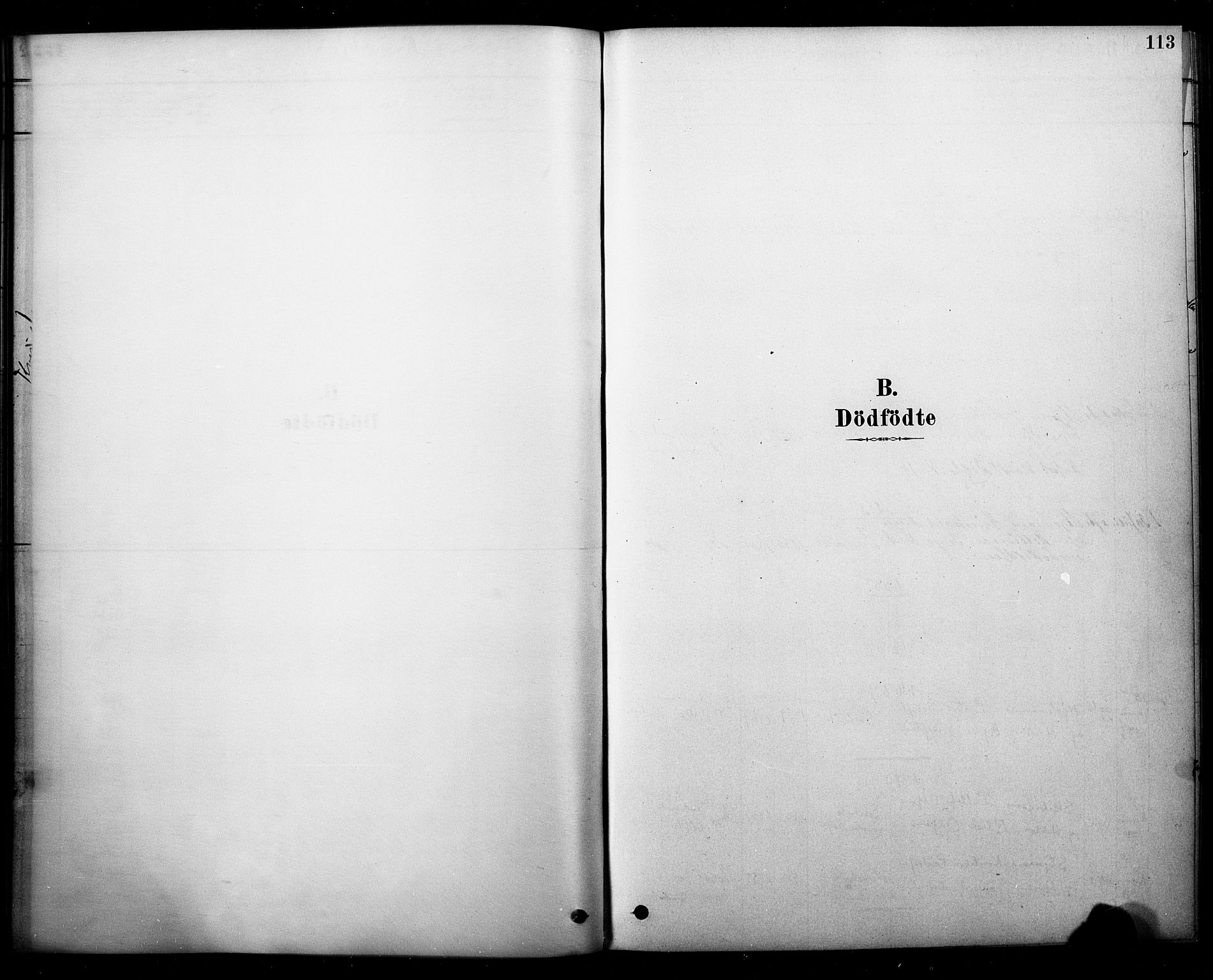 Strømm kirkebøker, AV/SAKO-A-322/F/Fb/L0001: Ministerialbok nr. II 1, 1878-1899, s. 113