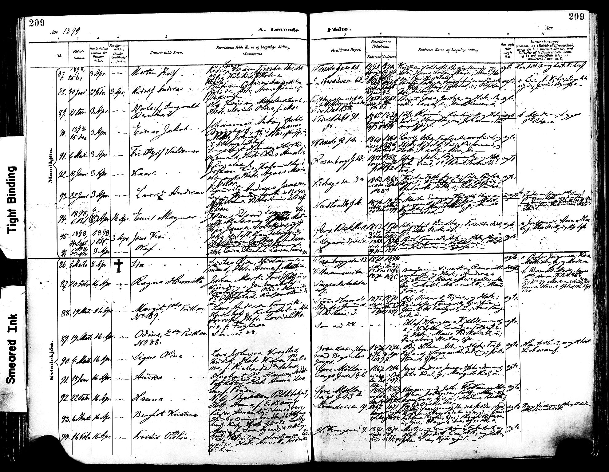 Ministerialprotokoller, klokkerbøker og fødselsregistre - Sør-Trøndelag, SAT/A-1456/604/L0197: Ministerialbok nr. 604A18, 1893-1900, s. 209