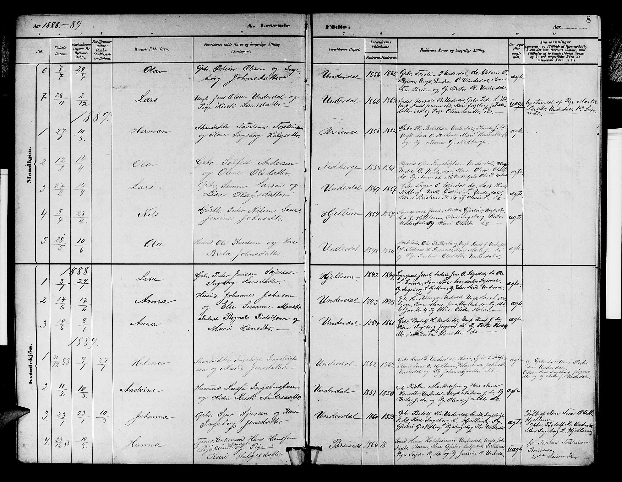 Aurland sokneprestembete, AV/SAB-A-99937/H/Hb/Hbd/L0002: Klokkerbok nr. D 2, 1883-1920, s. 8