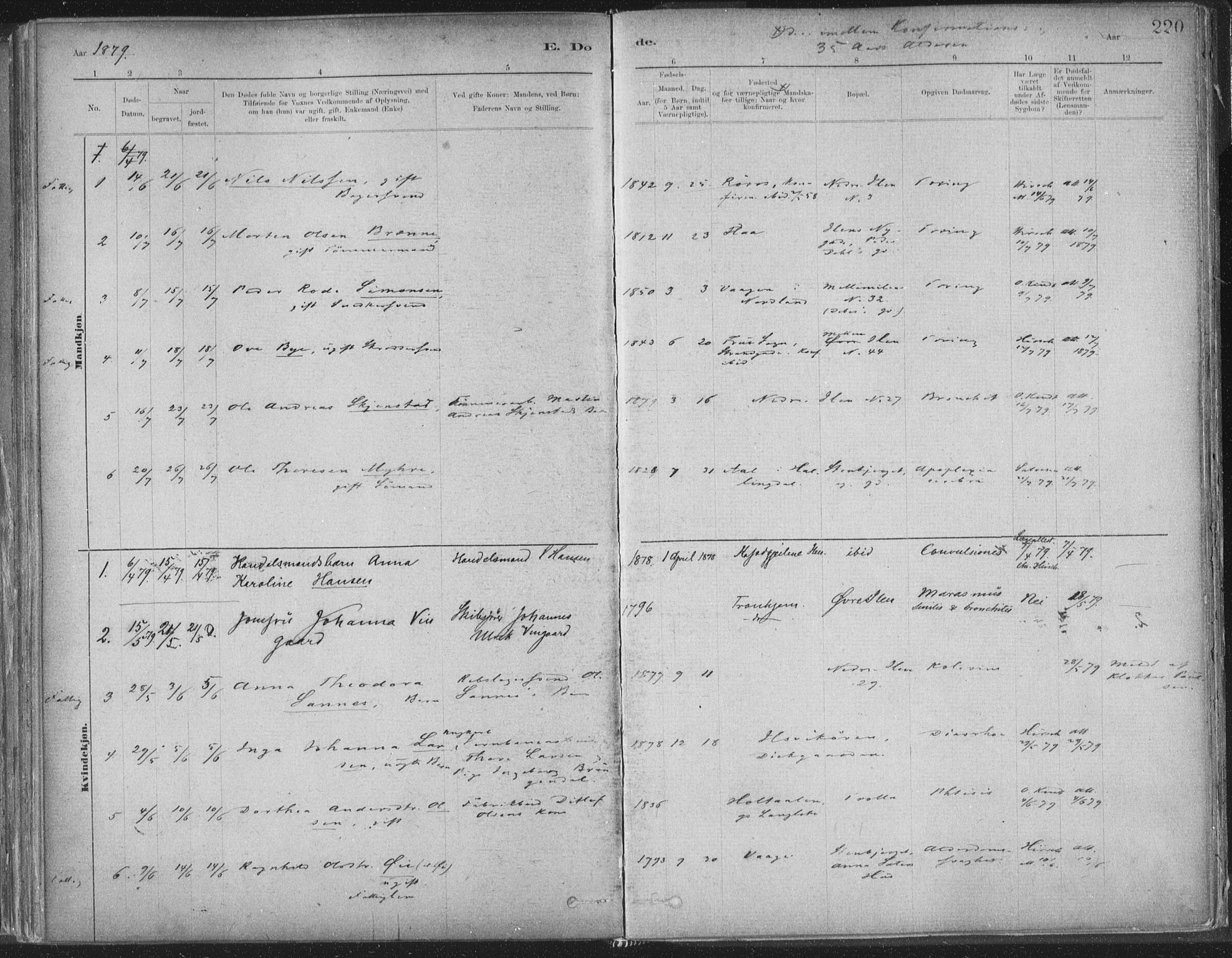 Ministerialprotokoller, klokkerbøker og fødselsregistre - Sør-Trøndelag, AV/SAT-A-1456/603/L0162: Ministerialbok nr. 603A01, 1879-1895, s. 220