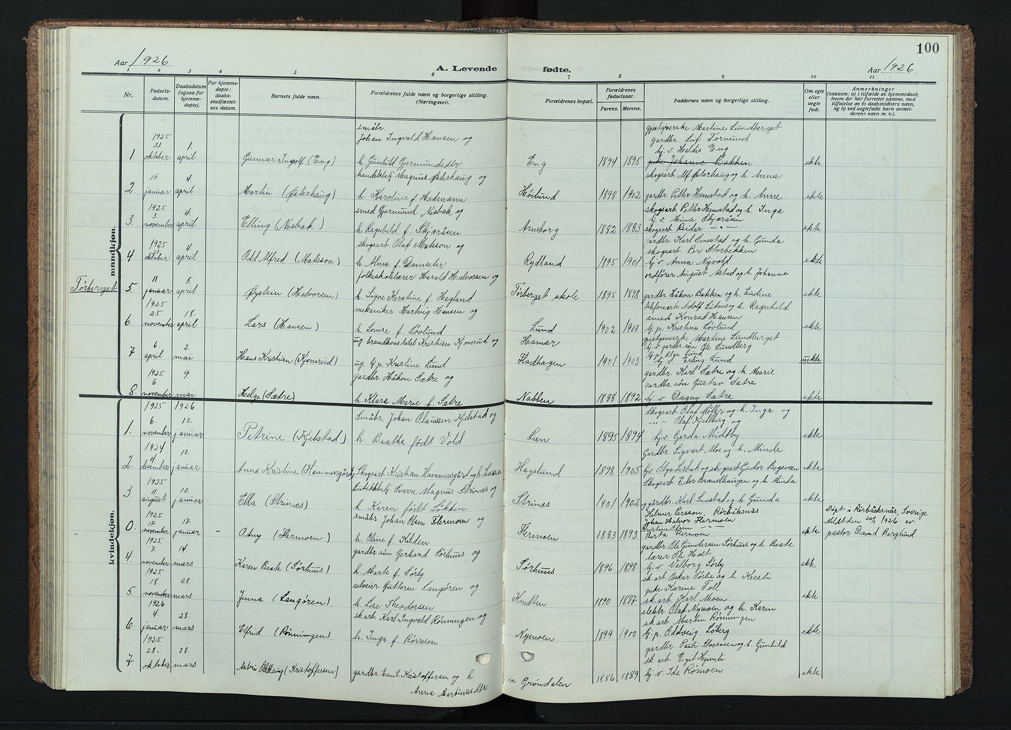 Trysil prestekontor, AV/SAH-PREST-046/H/Ha/Haa/L0015: Ministerialbok nr. 15, 1913-1934, s. 100