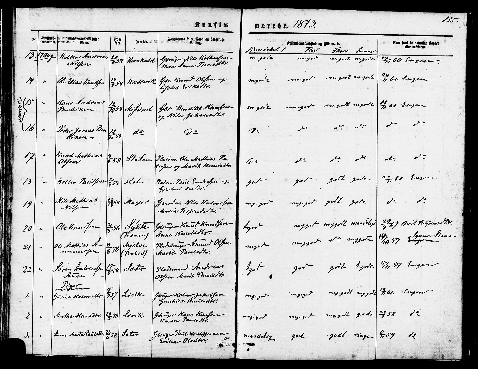 Ministerialprotokoller, klokkerbøker og fødselsregistre - Møre og Romsdal, SAT/A-1454/560/L0720: Ministerialbok nr. 560A04, 1873-1878, s. 135