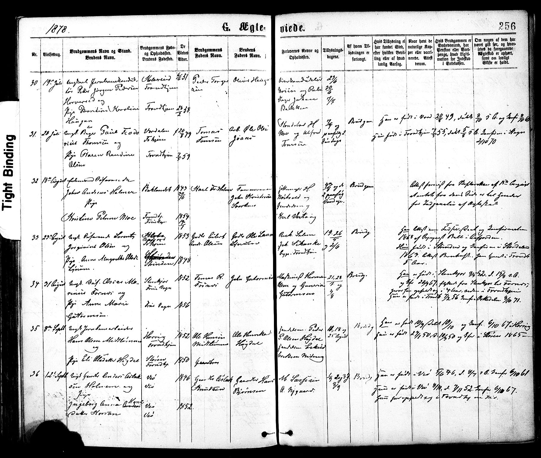 Ministerialprotokoller, klokkerbøker og fødselsregistre - Sør-Trøndelag, AV/SAT-A-1456/602/L0118: Ministerialbok nr. 602A16, 1873-1879, s. 256