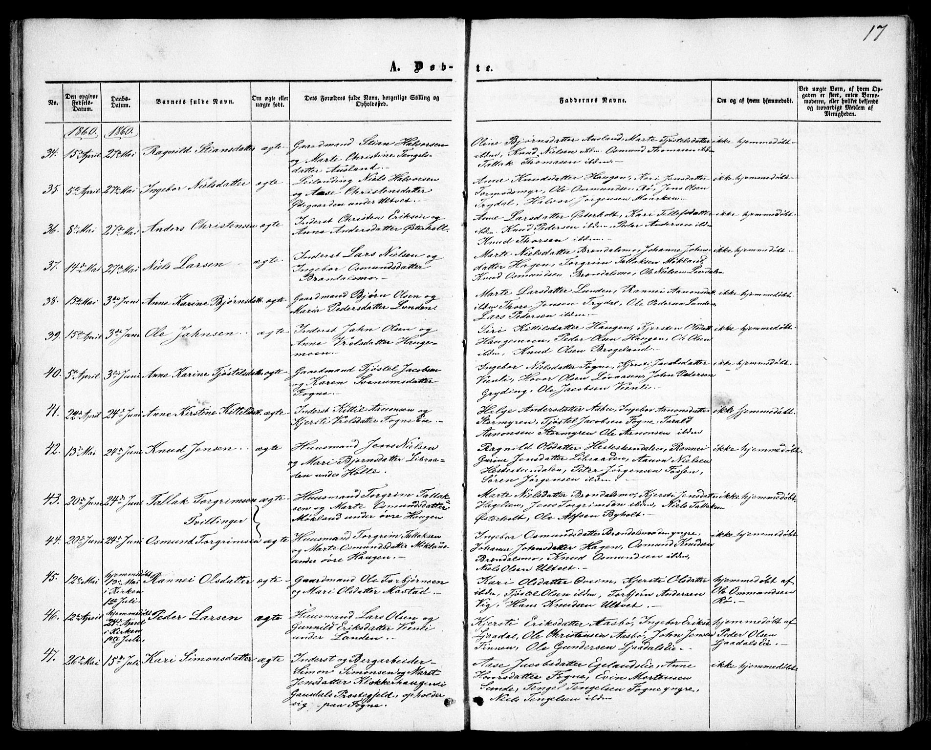 Gjerstad sokneprestkontor, AV/SAK-1111-0014/F/Fa/Faa/L0007: Ministerialbok nr. A 7, 1858-1875, s. 17