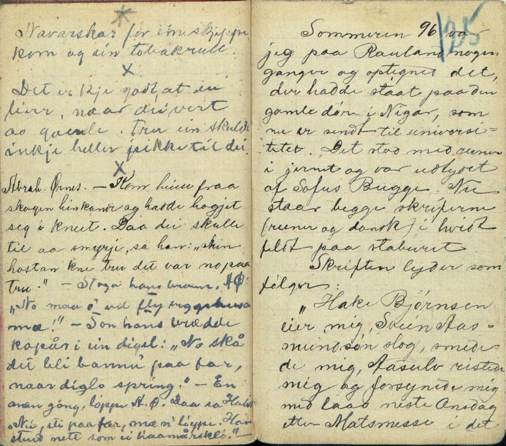 Rikard Berge, TEMU/TGM-A-1003/F/L0005/0007: 160-200 / 166 Skildring av innbu. Dagboksoppteikn. for R. B. 1896-97. Om spesielle ord og uttrykk, 1896-1897, s. 124-125