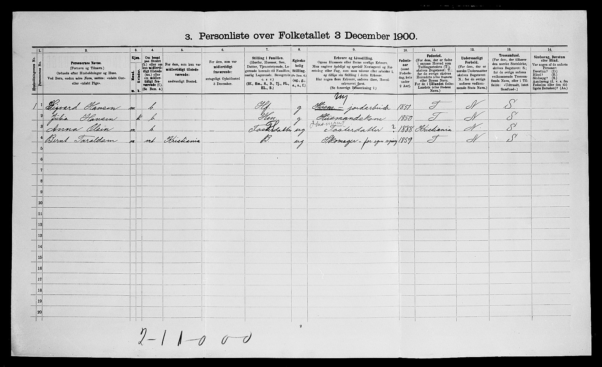 SAO, Folketelling 1900 for 0236 Nes herred, 1900