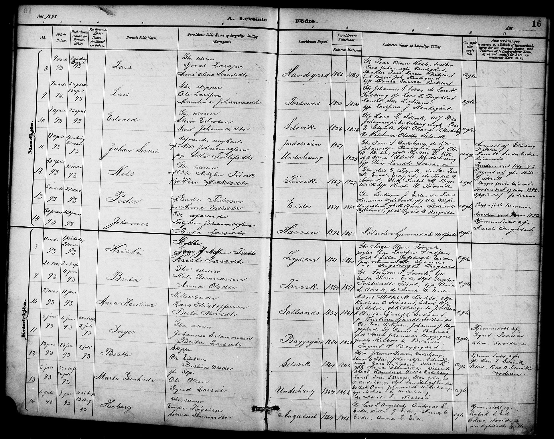 Ullensvang sokneprestembete, AV/SAB-A-78701/H/Hab: Klokkerbok nr. D 1, 1891-1908, s. 16