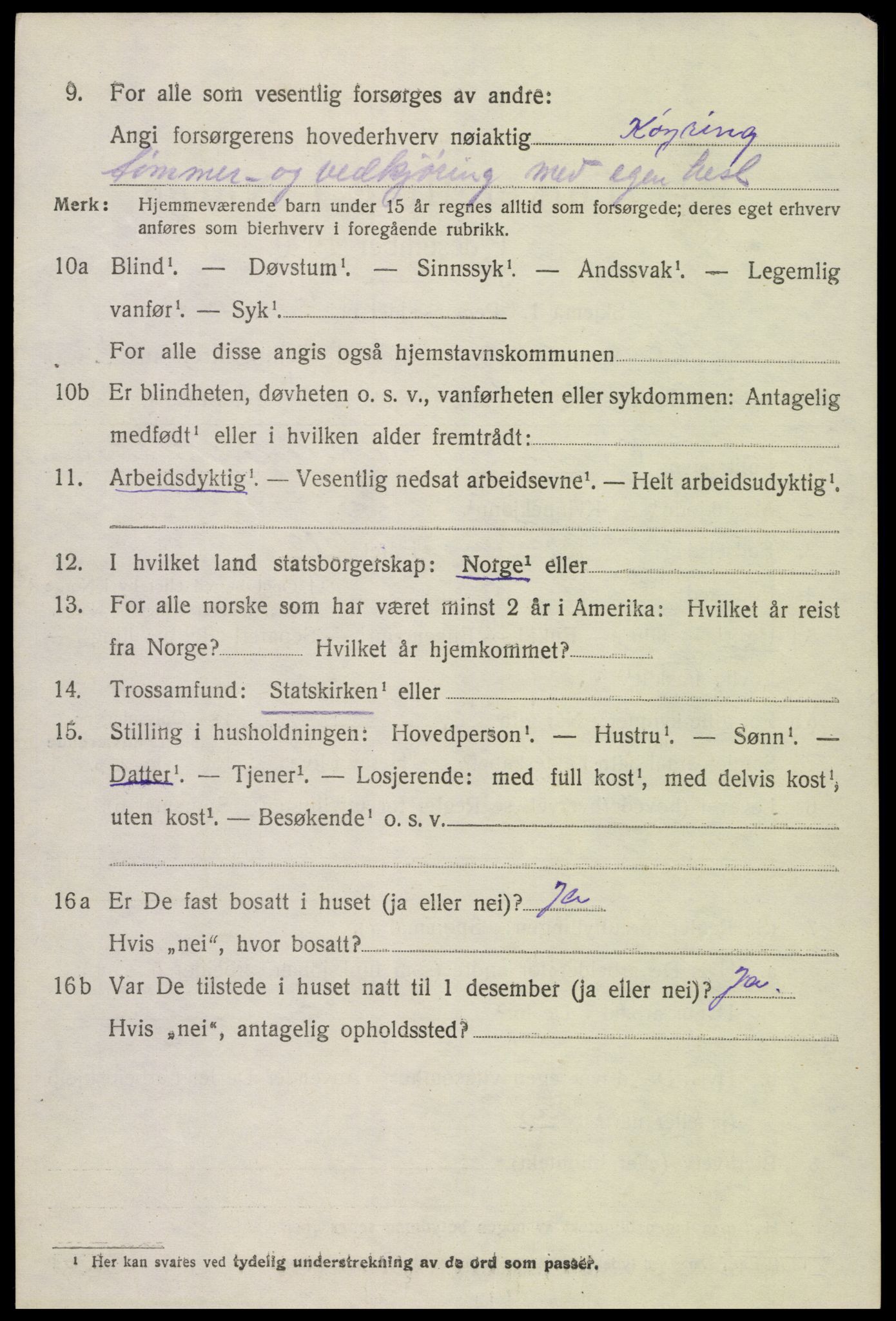 SAK, Folketelling 1920 for 0936 Hornnes herred, 1920, s. 1346