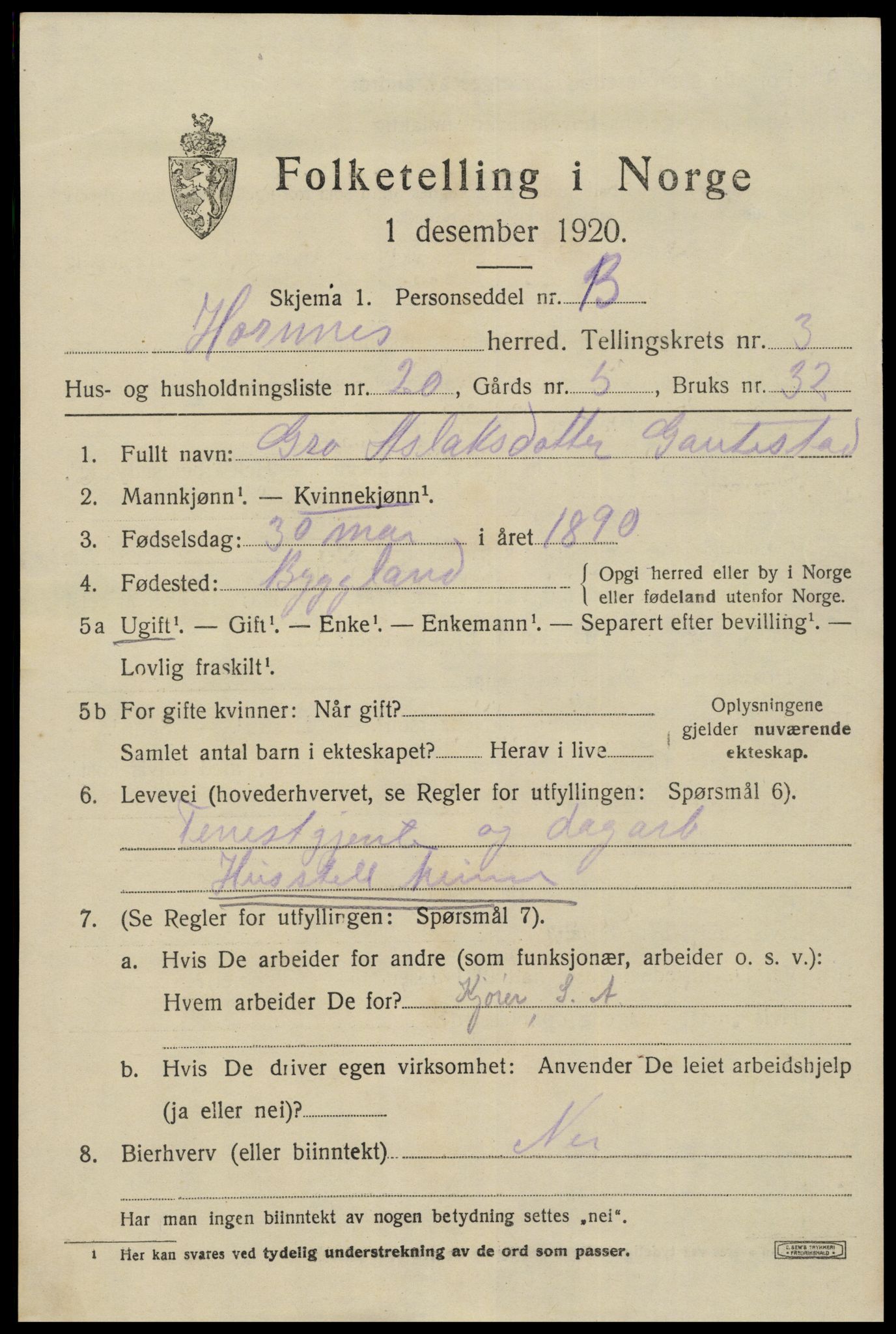 SAK, Folketelling 1920 for 0936 Hornnes herred, 1920, s. 1041