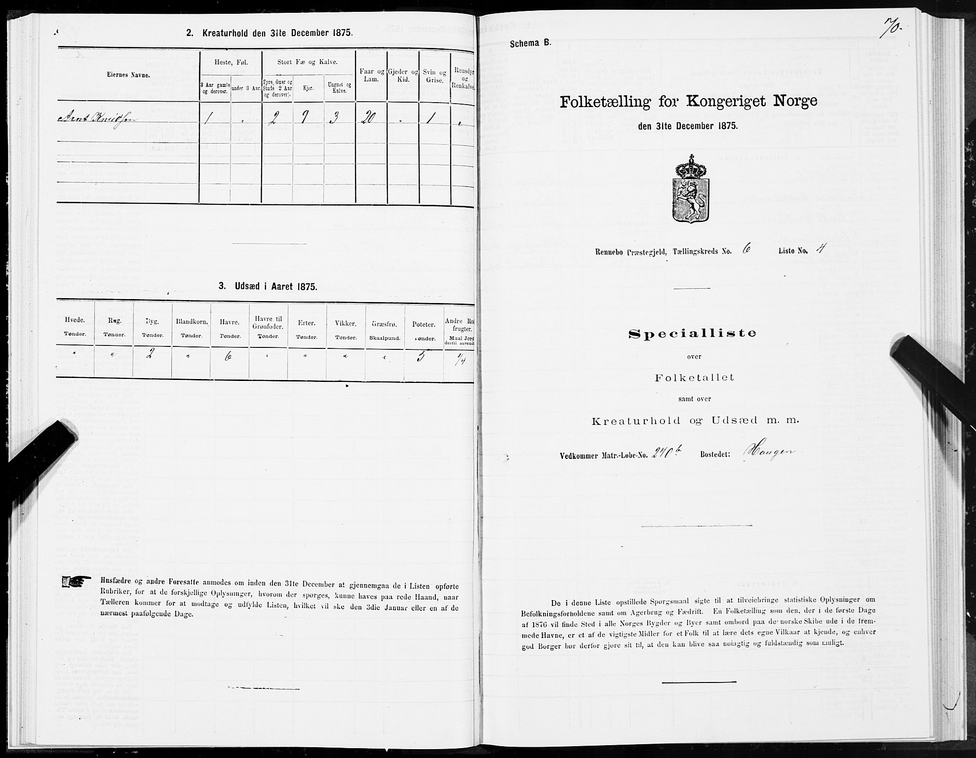 SAT, Folketelling 1875 for 1635P Rennebu prestegjeld, 1875, s. 3070