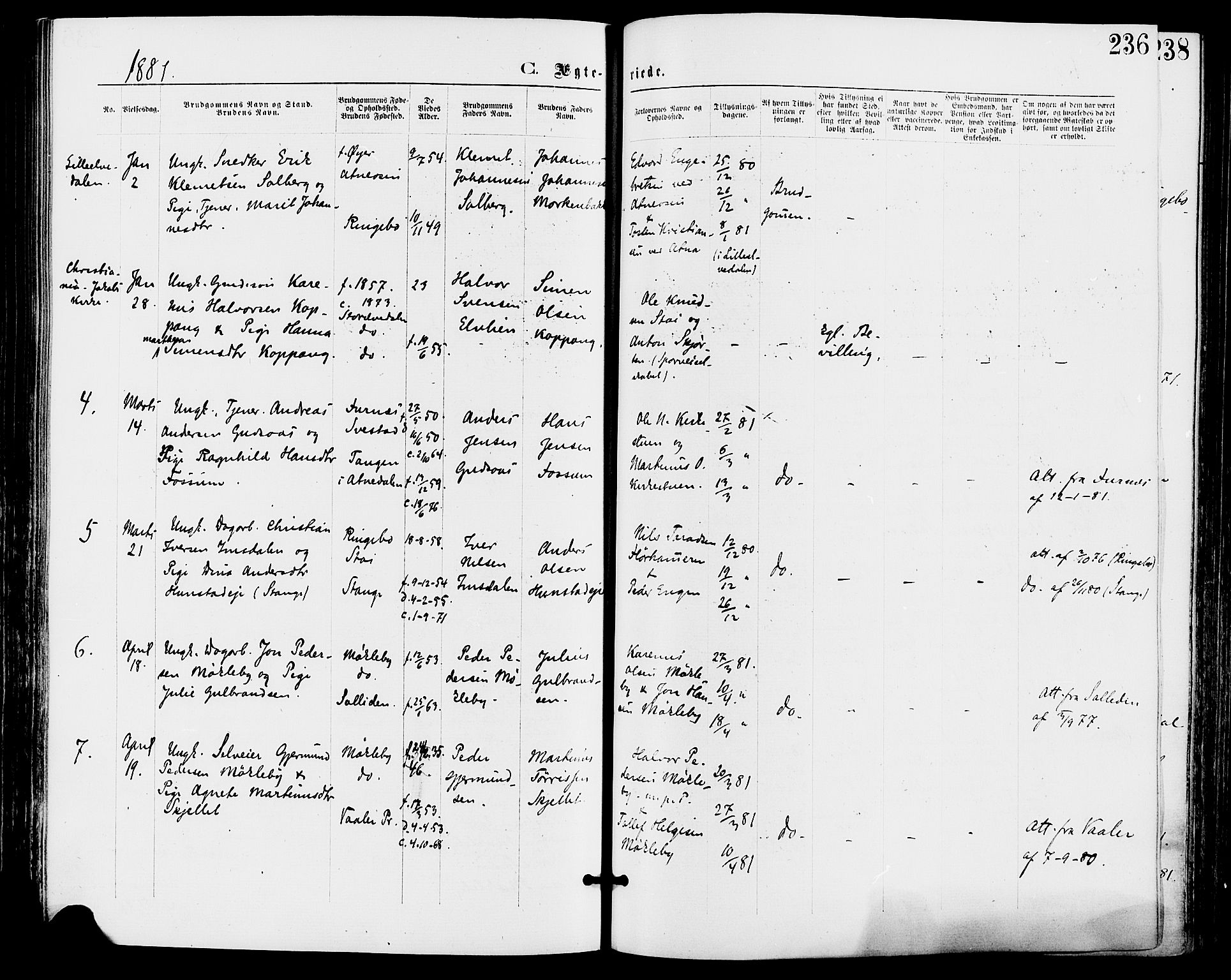 Stor-Elvdal prestekontor, AV/SAH-PREST-052/H/Ha/Haa/L0001: Ministerialbok nr. 1, 1871-1882, s. 236