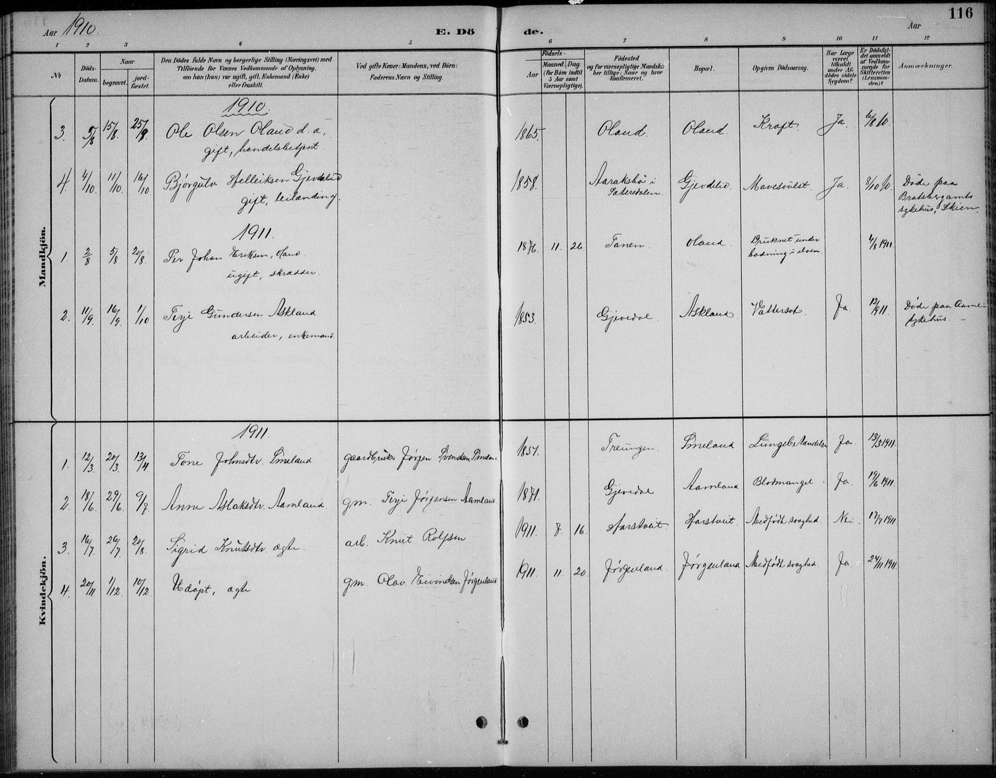 Åmli sokneprestkontor, SAK/1111-0050/F/Fb/Fba/L0002: Klokkerbok nr. B 2, 1890-1912, s. 116