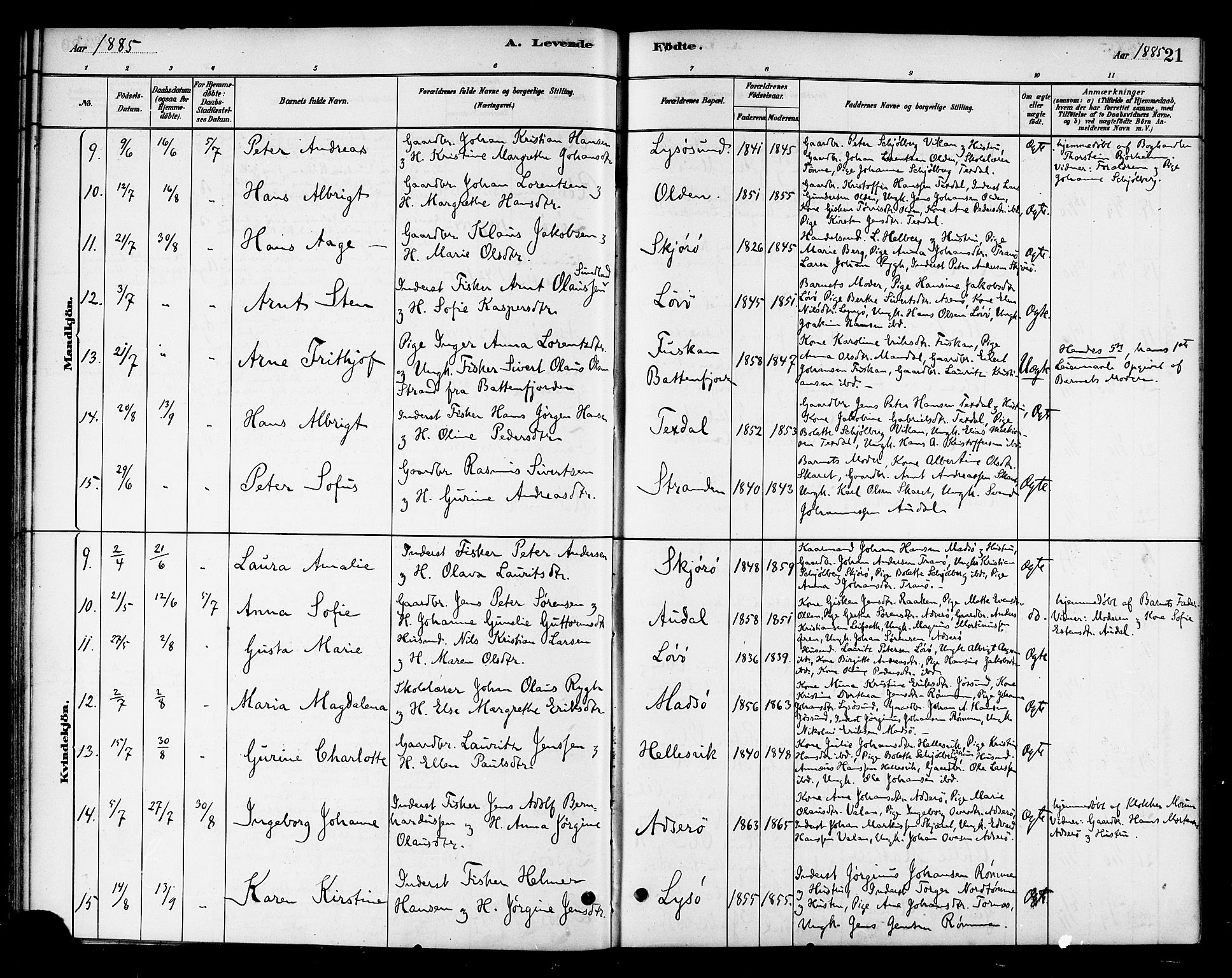 Ministerialprotokoller, klokkerbøker og fødselsregistre - Sør-Trøndelag, SAT/A-1456/654/L0663: Ministerialbok nr. 654A01, 1880-1894, s. 21